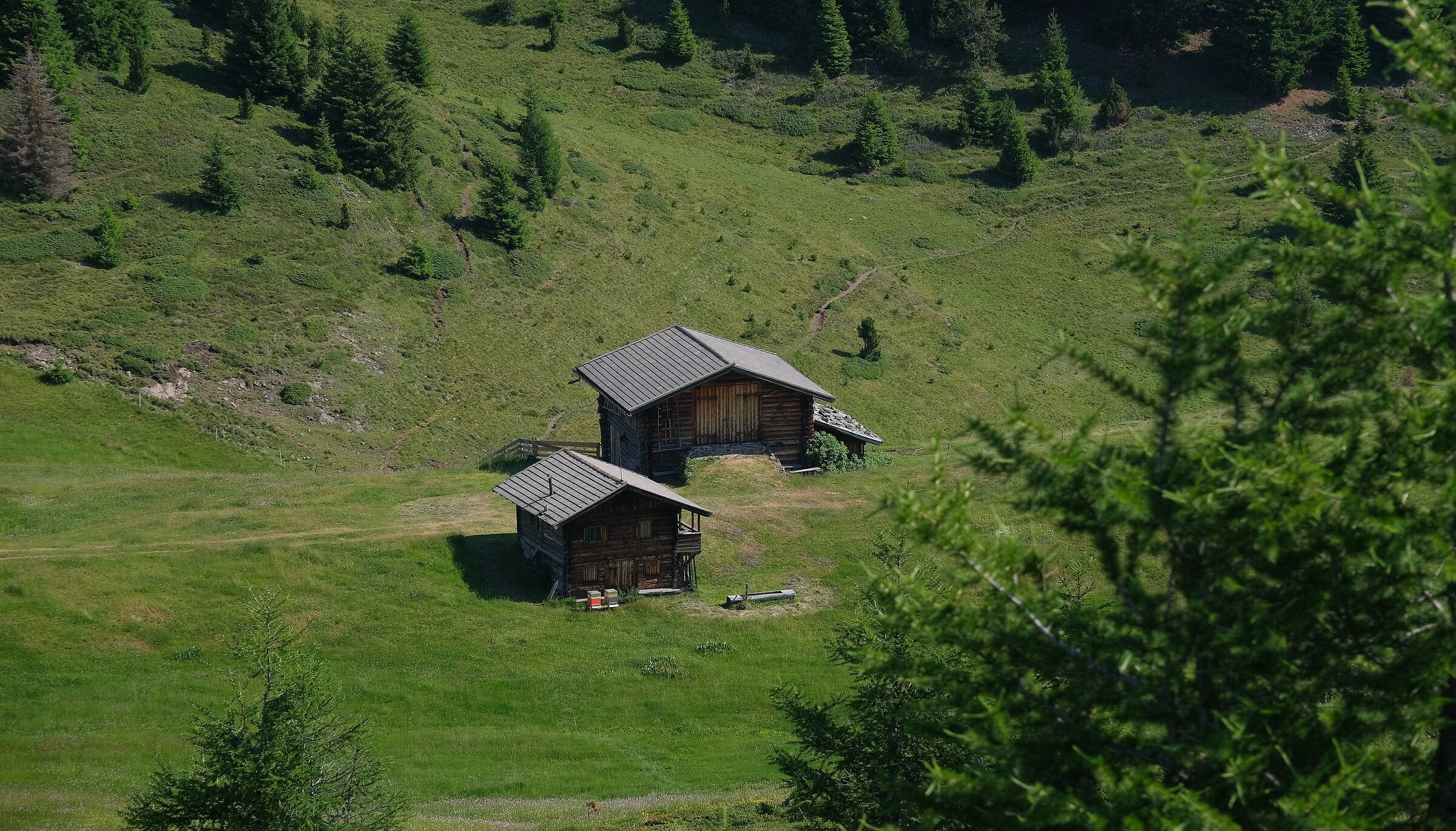 Spesso vorrei essere li