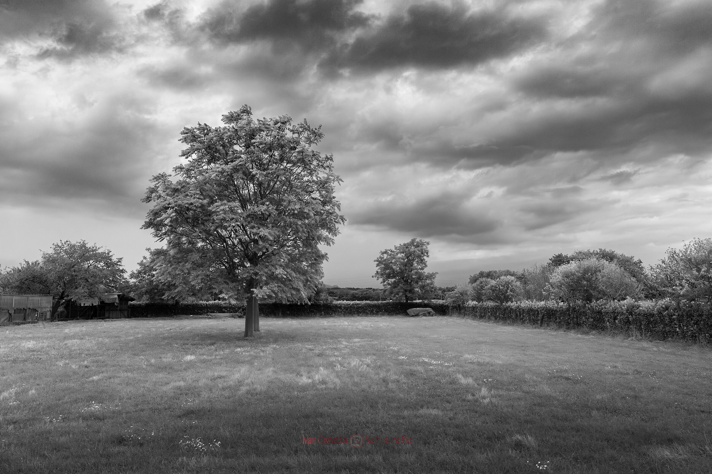 Playing with black and white
