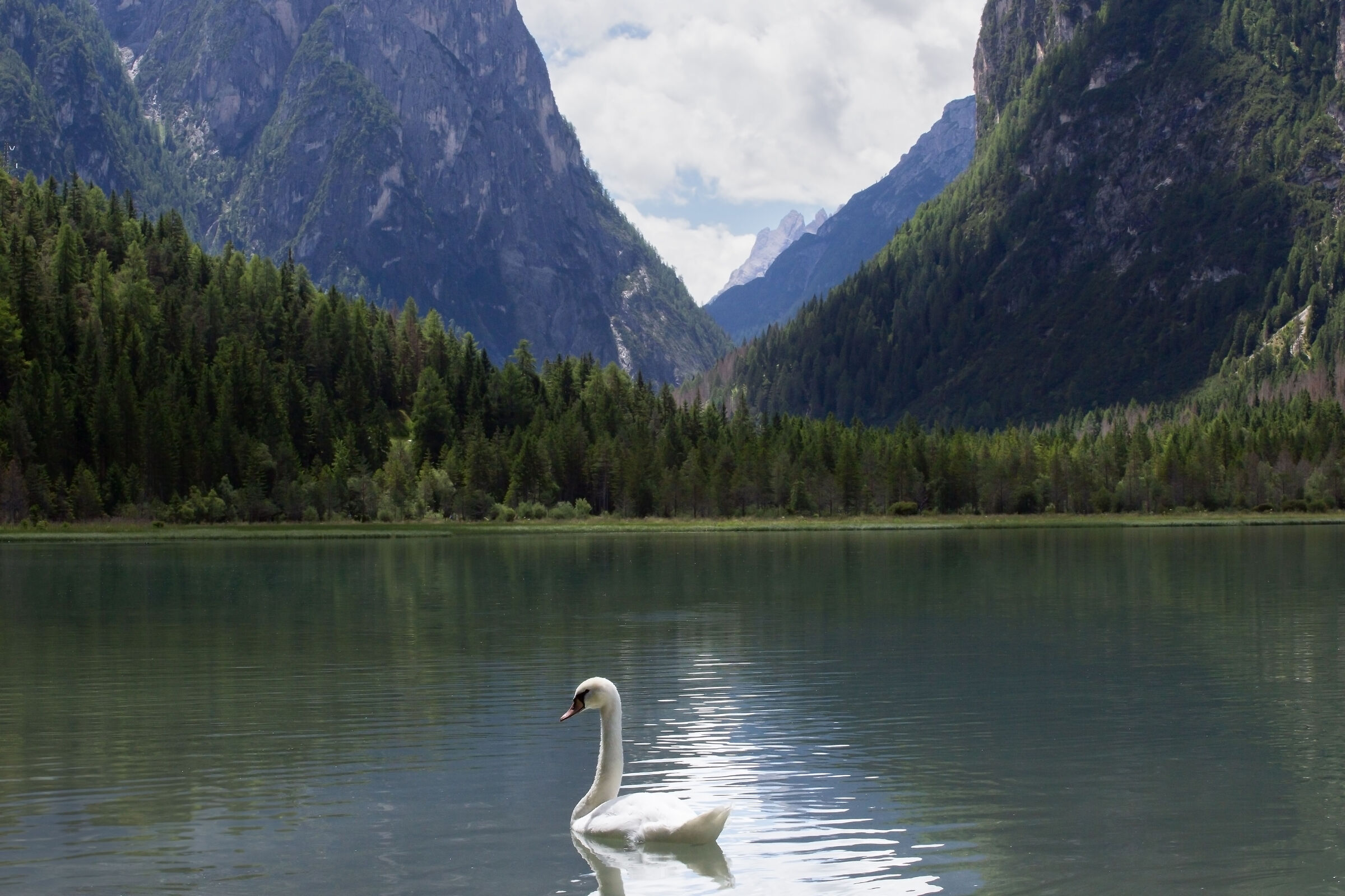 natura