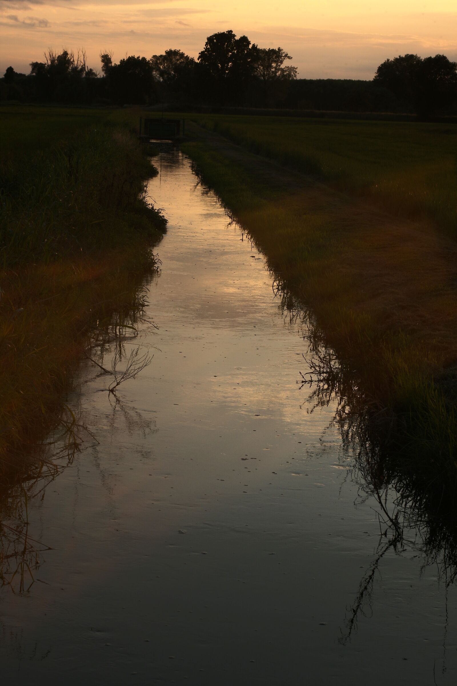 Il tramonto nel fosso