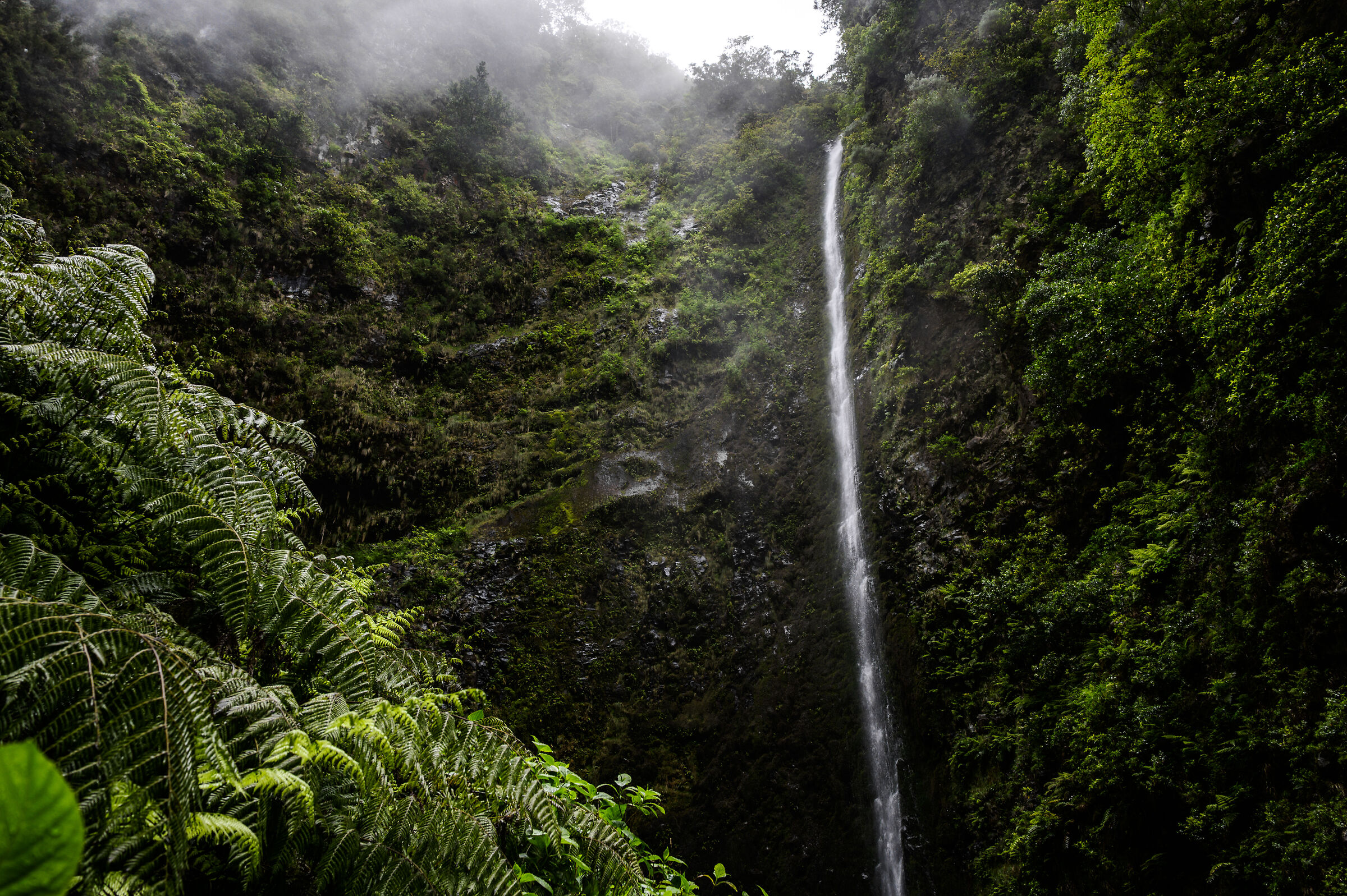 PR9 - Levada do Caldeirão Verde