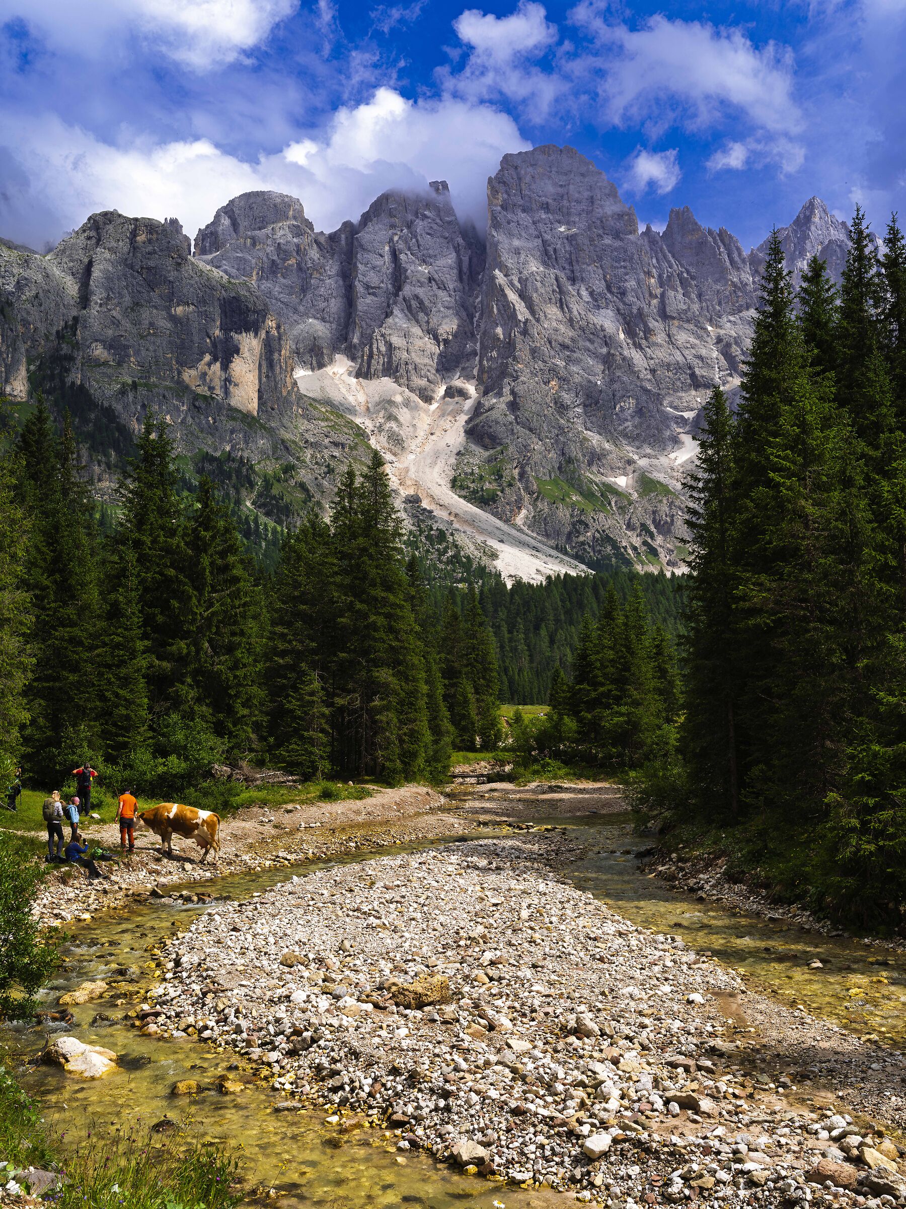 Parco Naturale Paneveggio