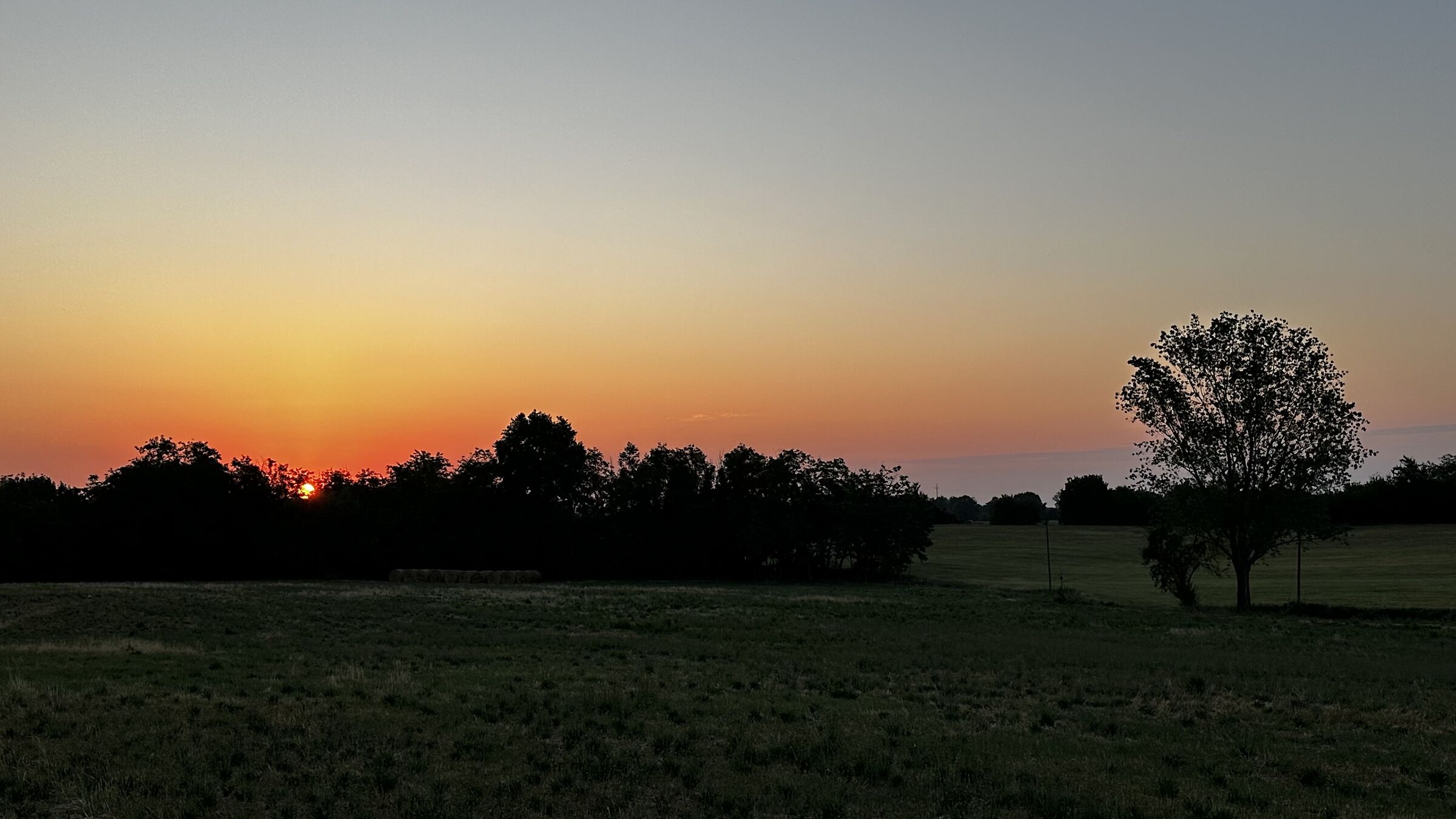 Dawn