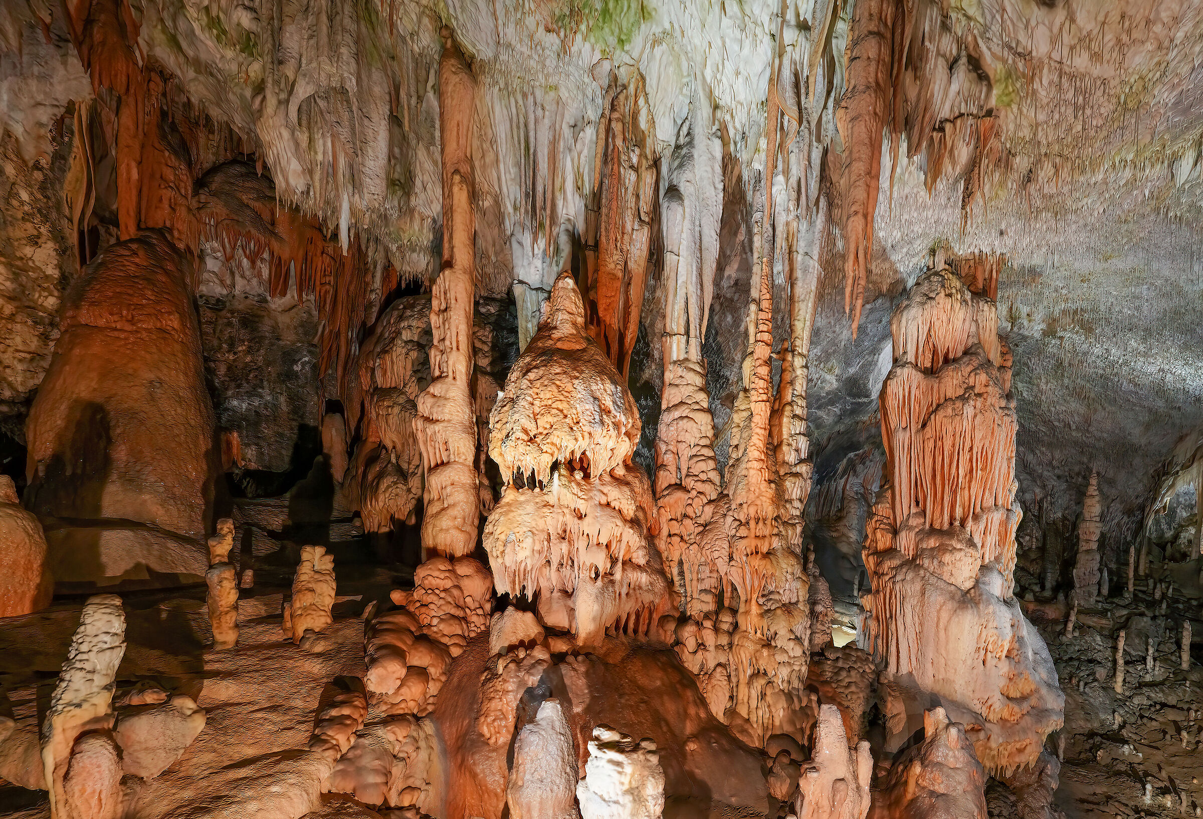 Postojna Cave