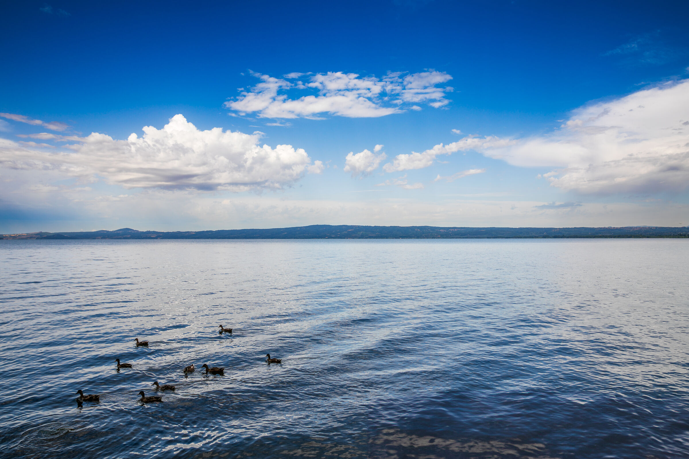 Calm waters