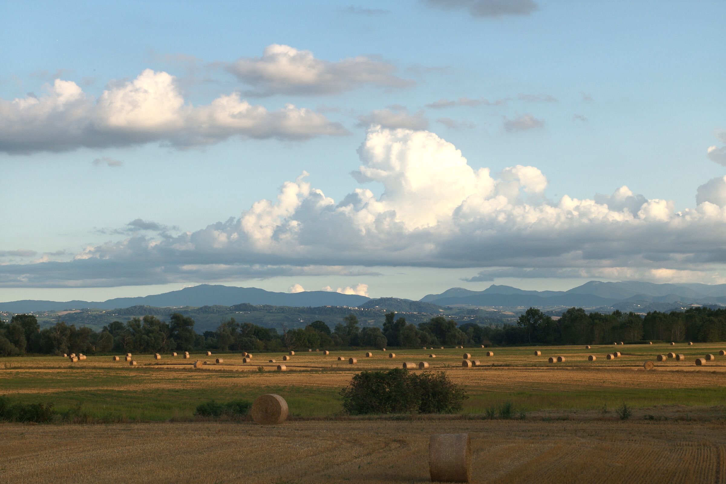 Paesaggio con rotoballe