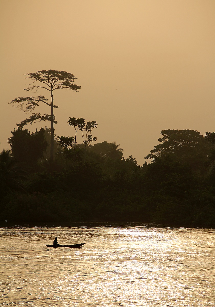 Il fiume nella foresta