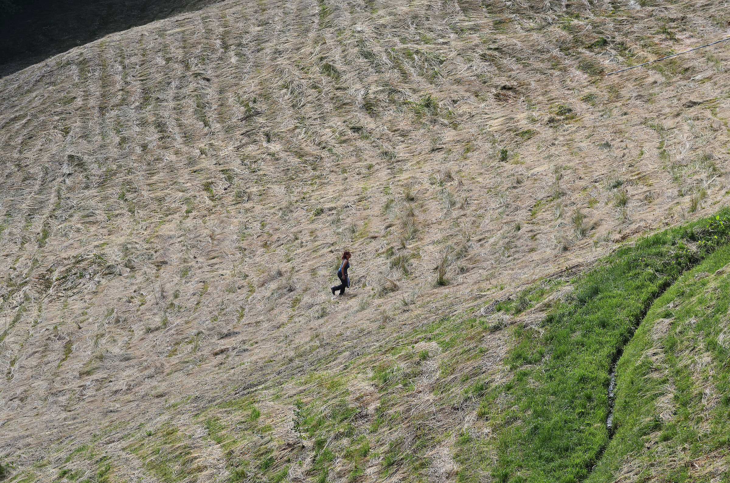 Hay for the winter 2