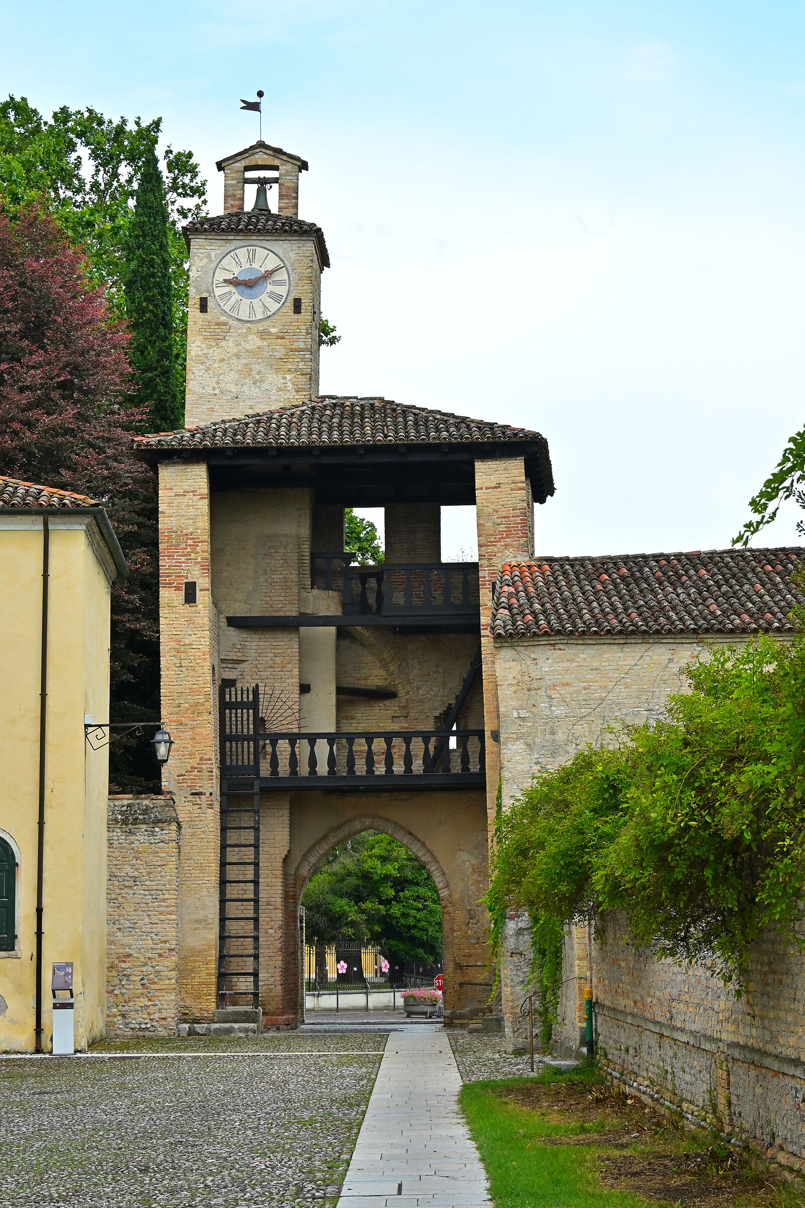Cordovado