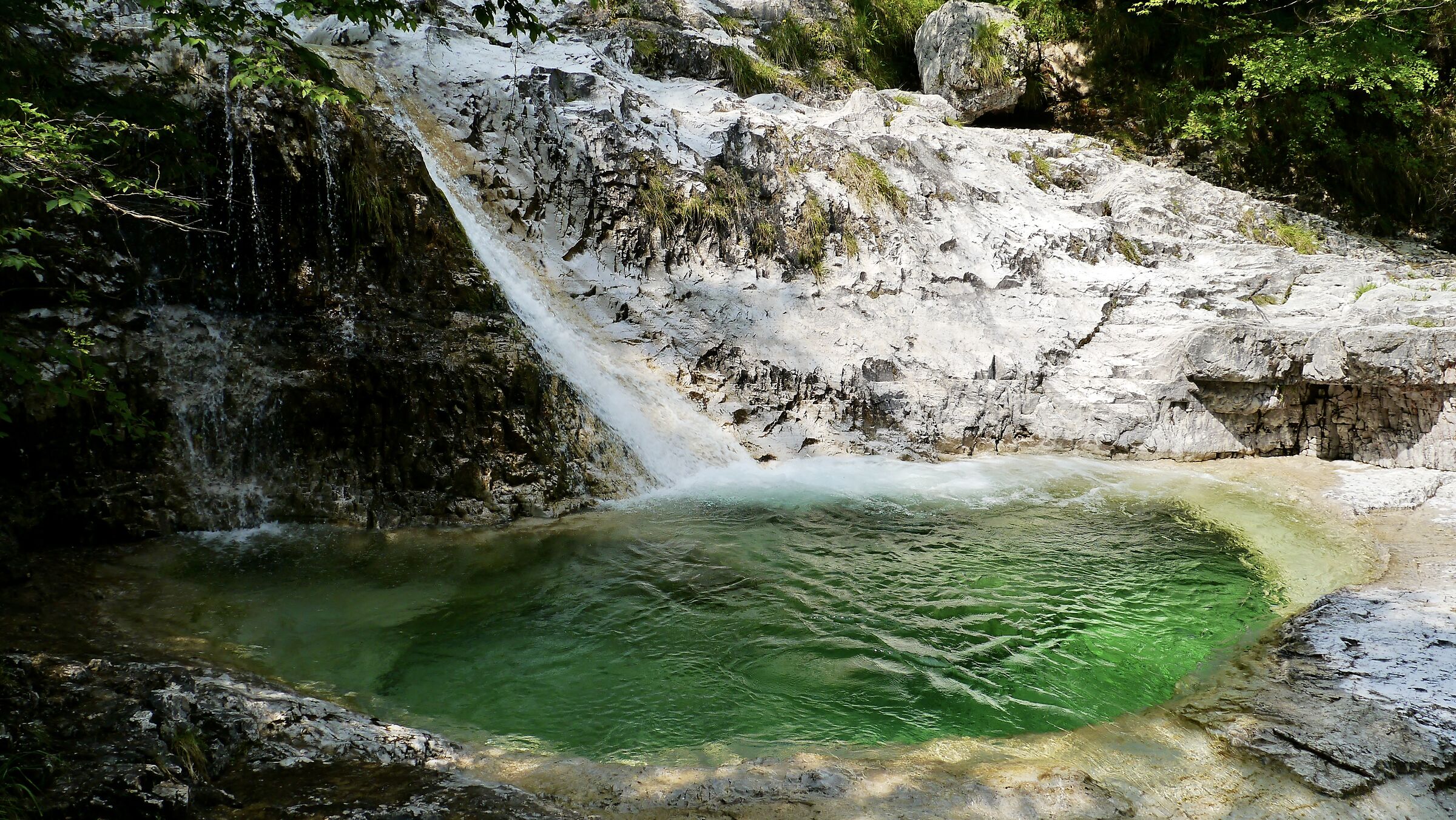The Catini of Mis Trentino