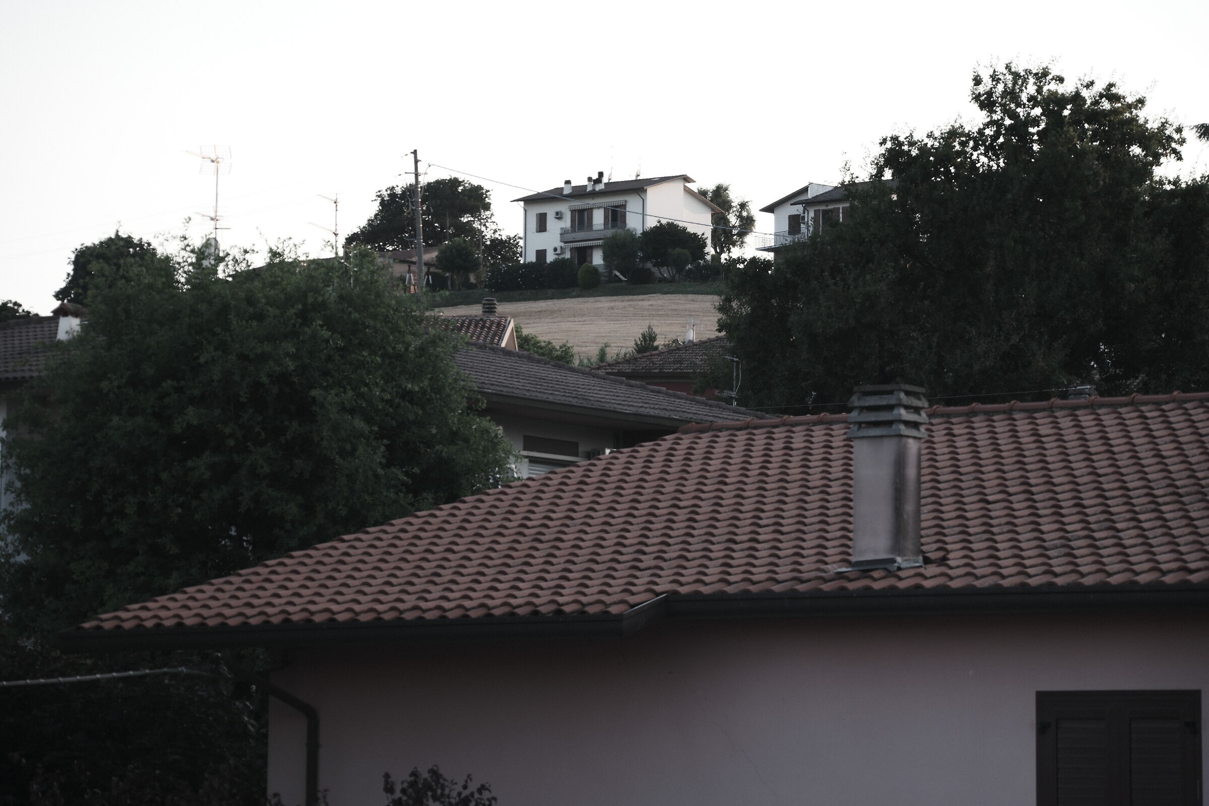 iso 200 300mm f 6,7 1/320 sc