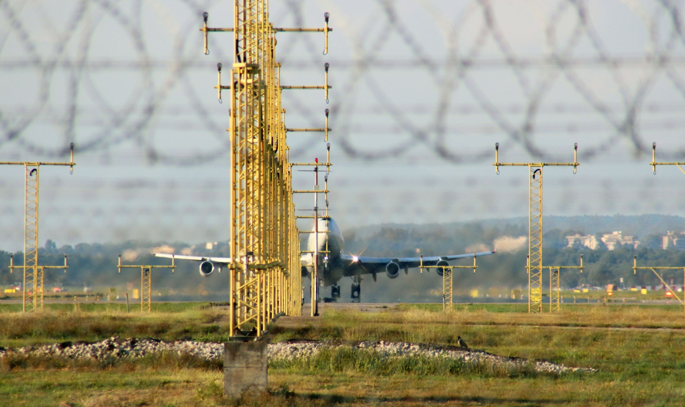 The rise of the emperor