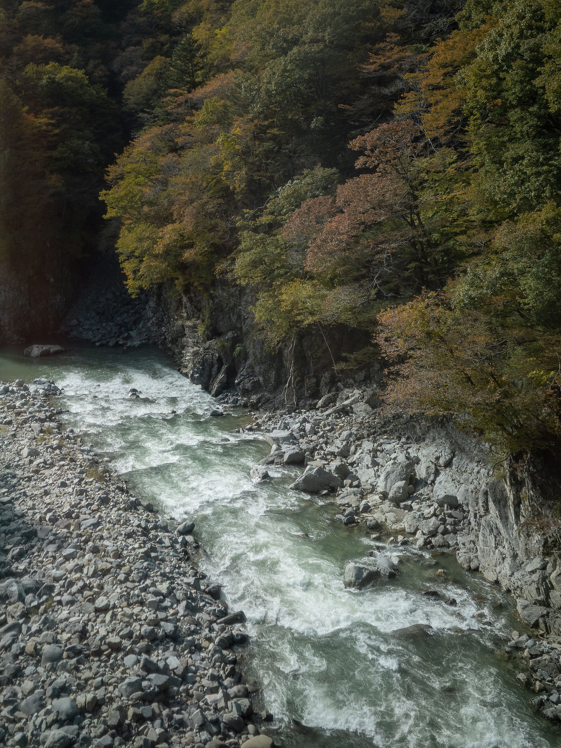 Scatto dallo shinkansen