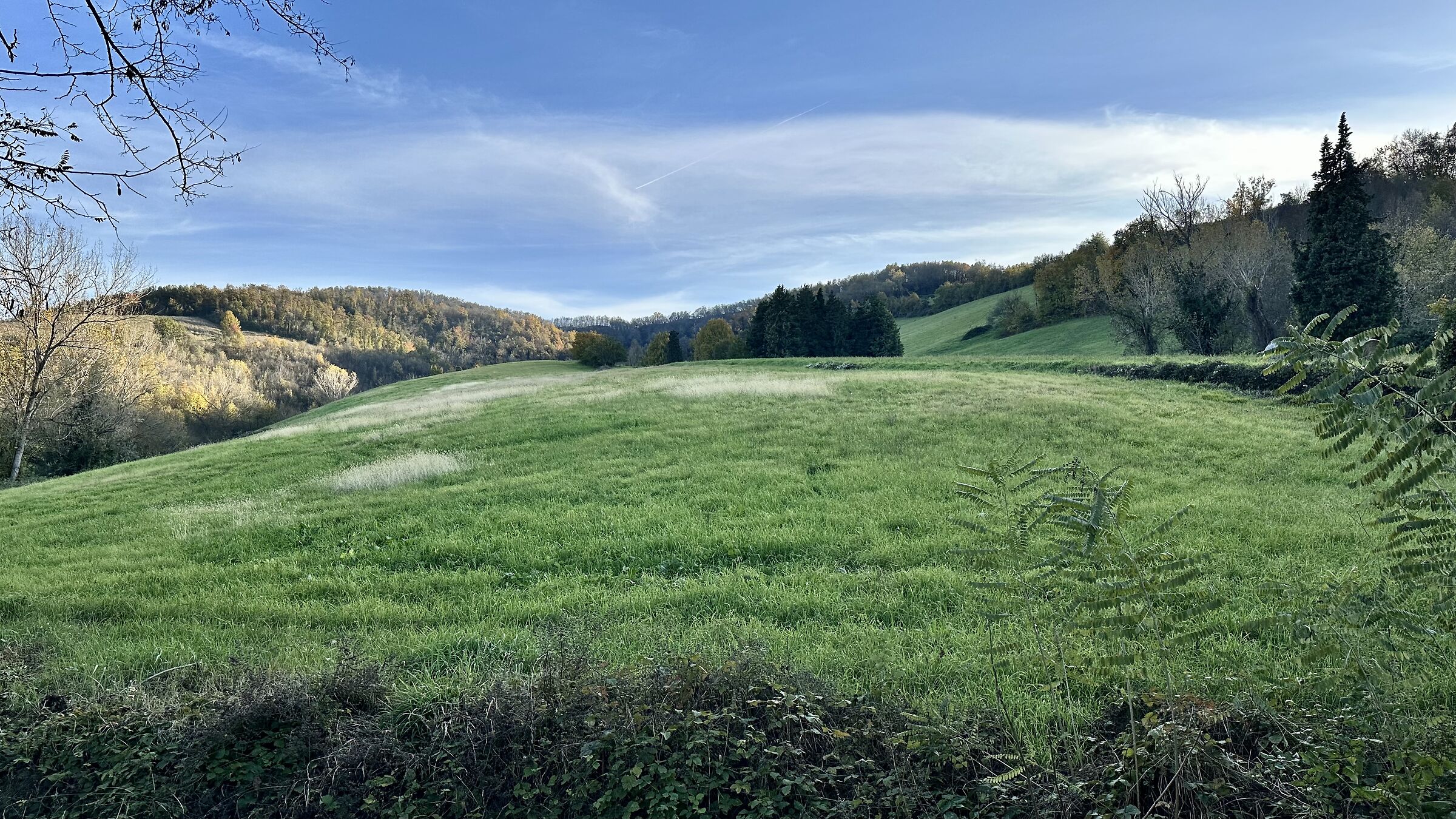 Collina Reggiana