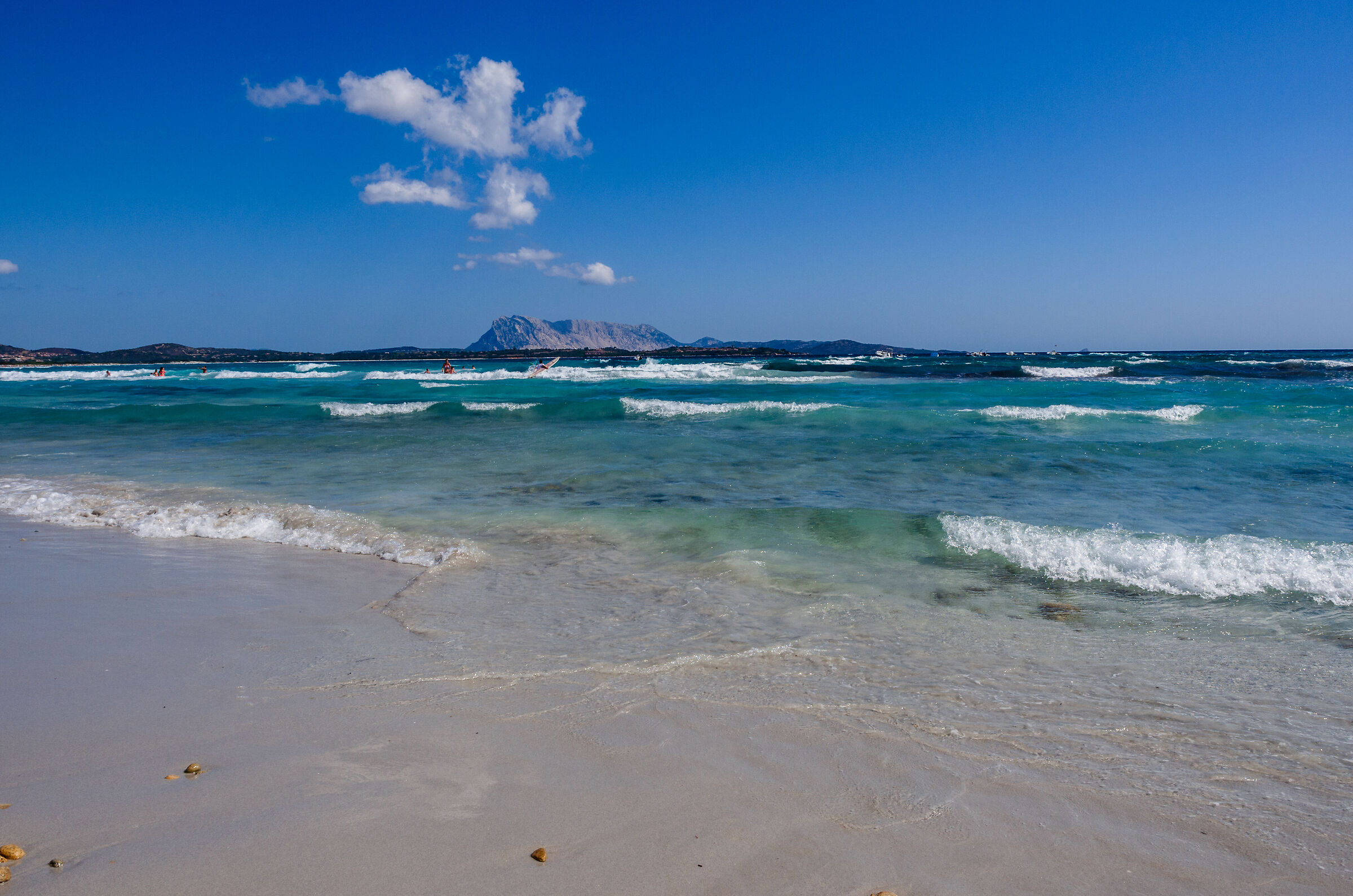 Arriva  il maestrale