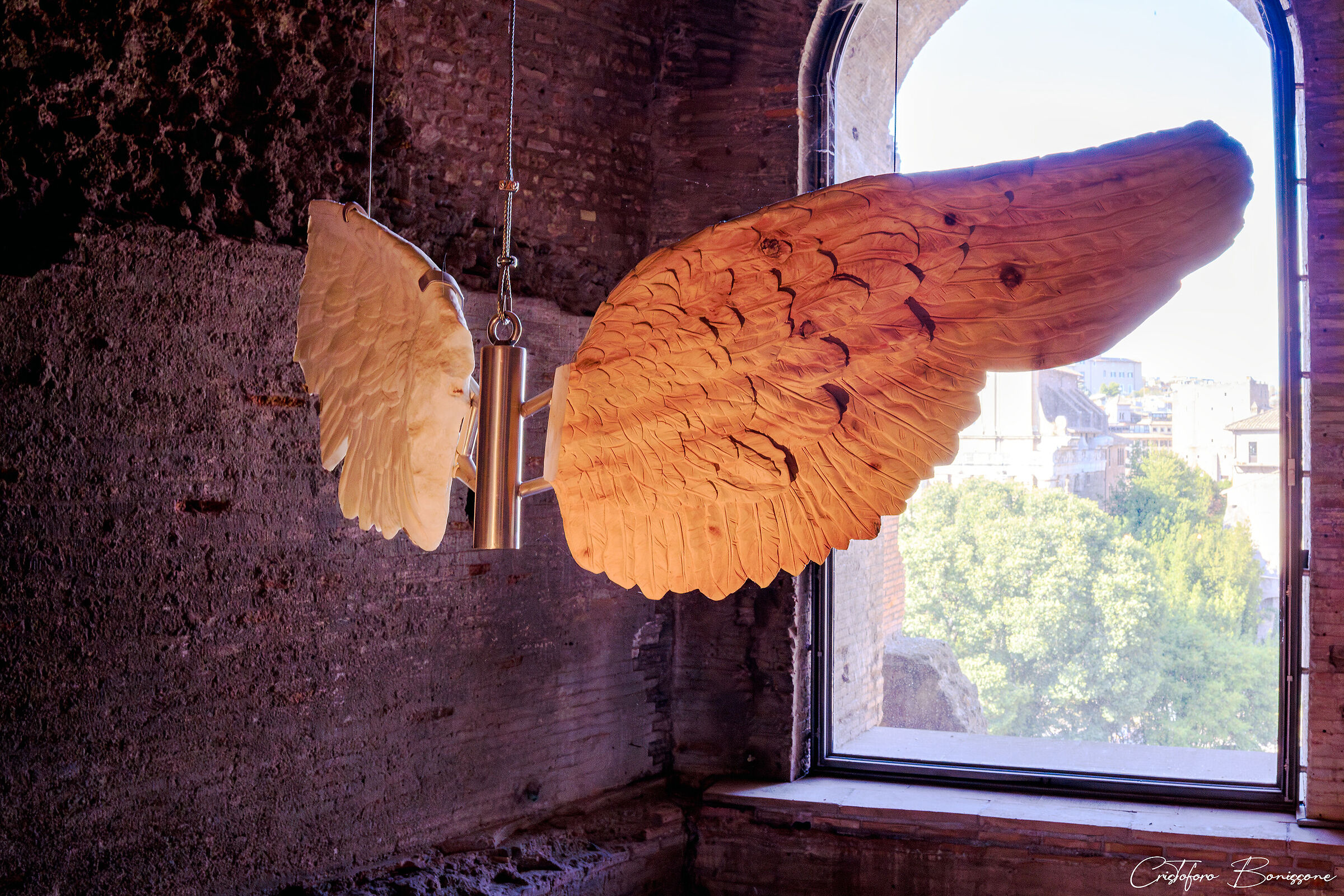 Domus Tiberiana - Ali Di Vittoria