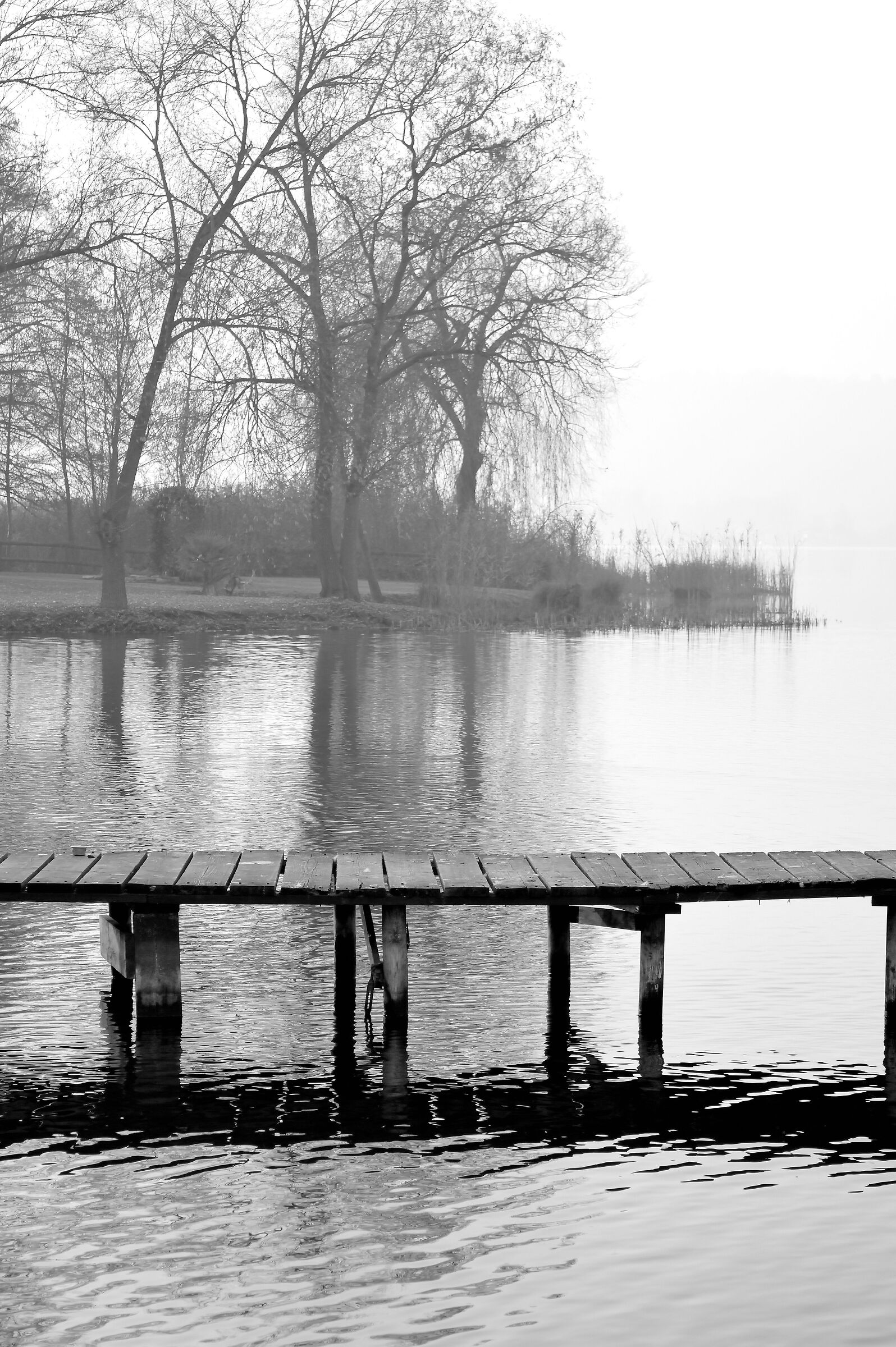 pontile