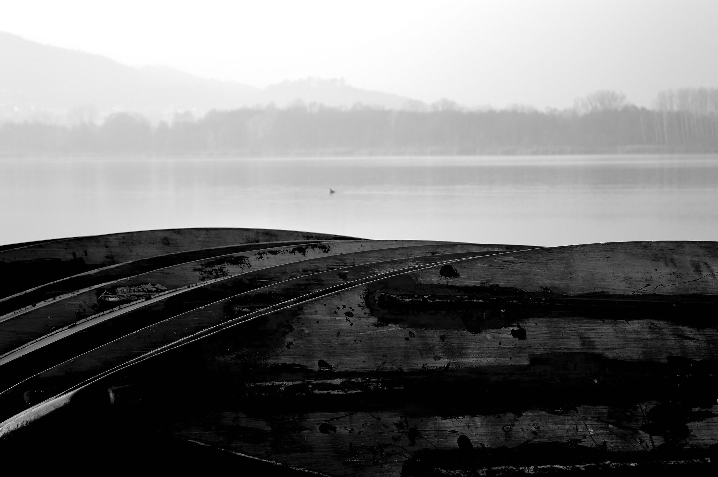 il lago e le barche