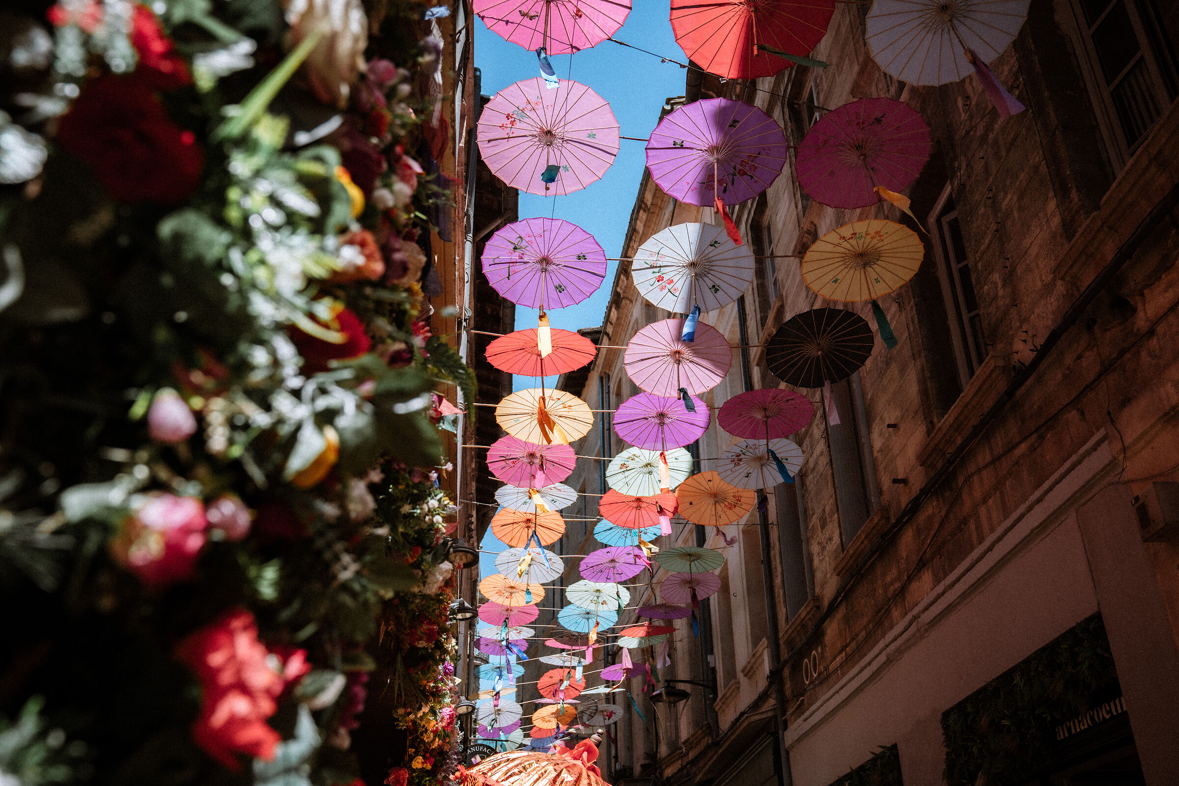 Avignon
