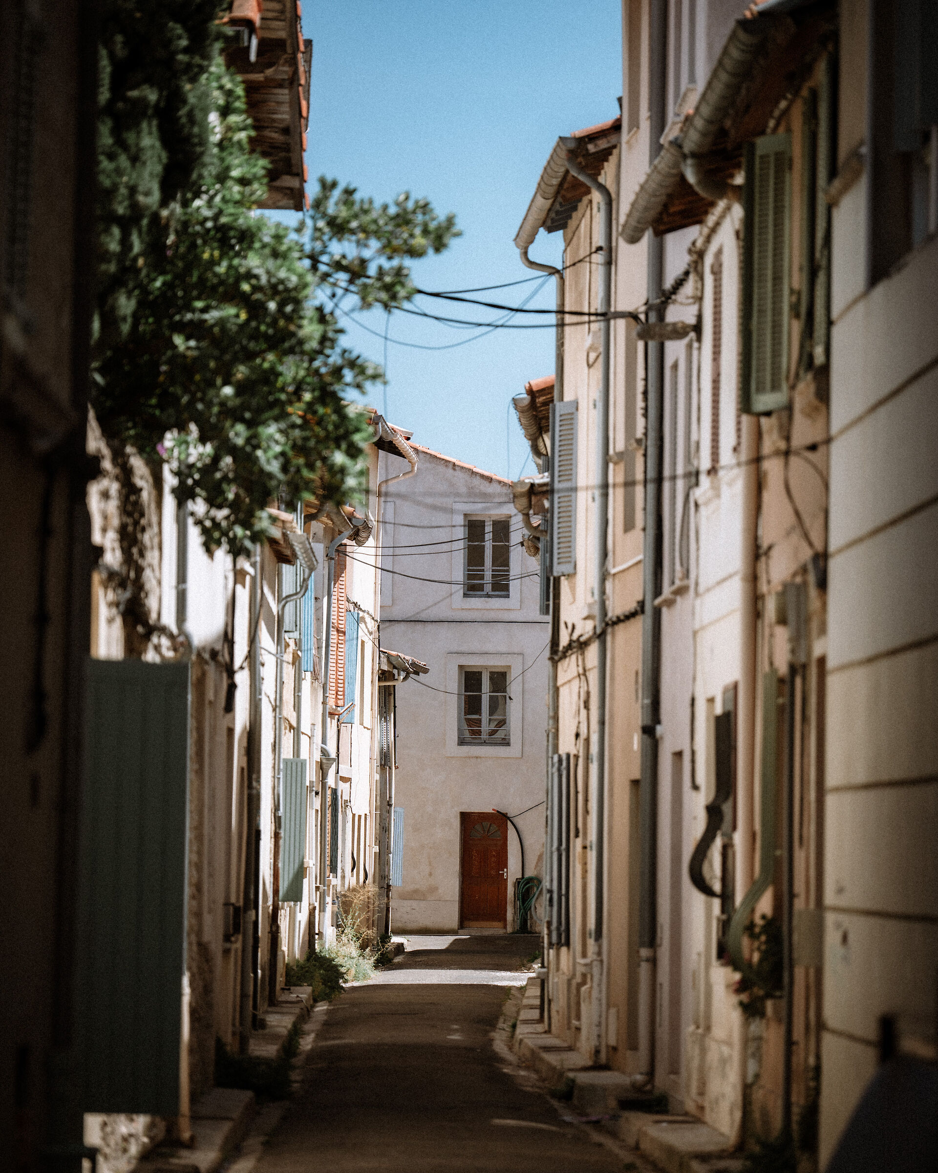 Avignon
