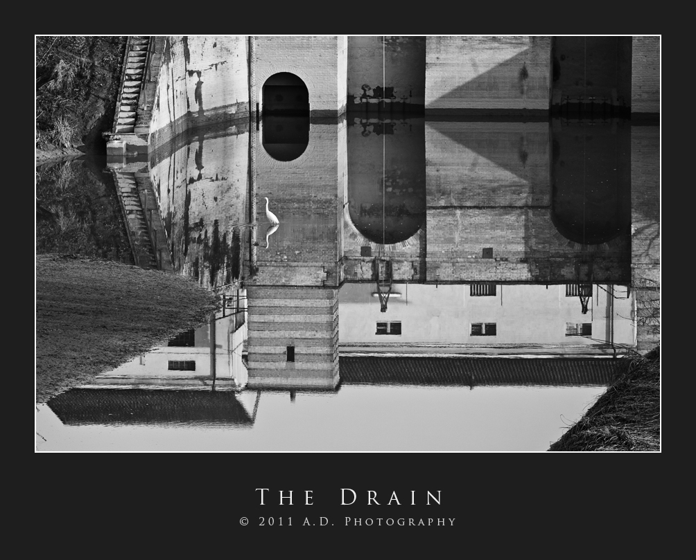 The Drain