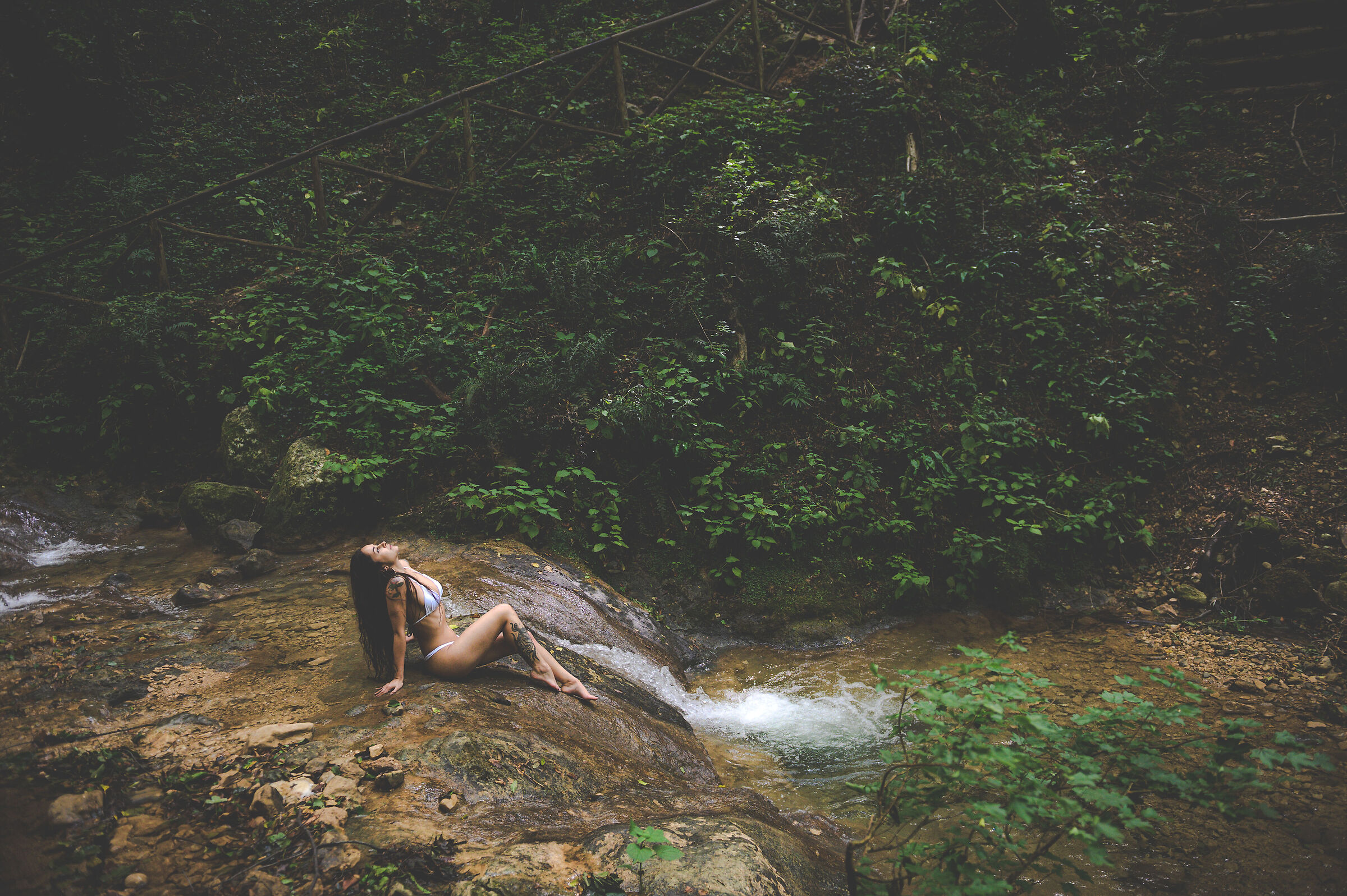 Untitled Photo