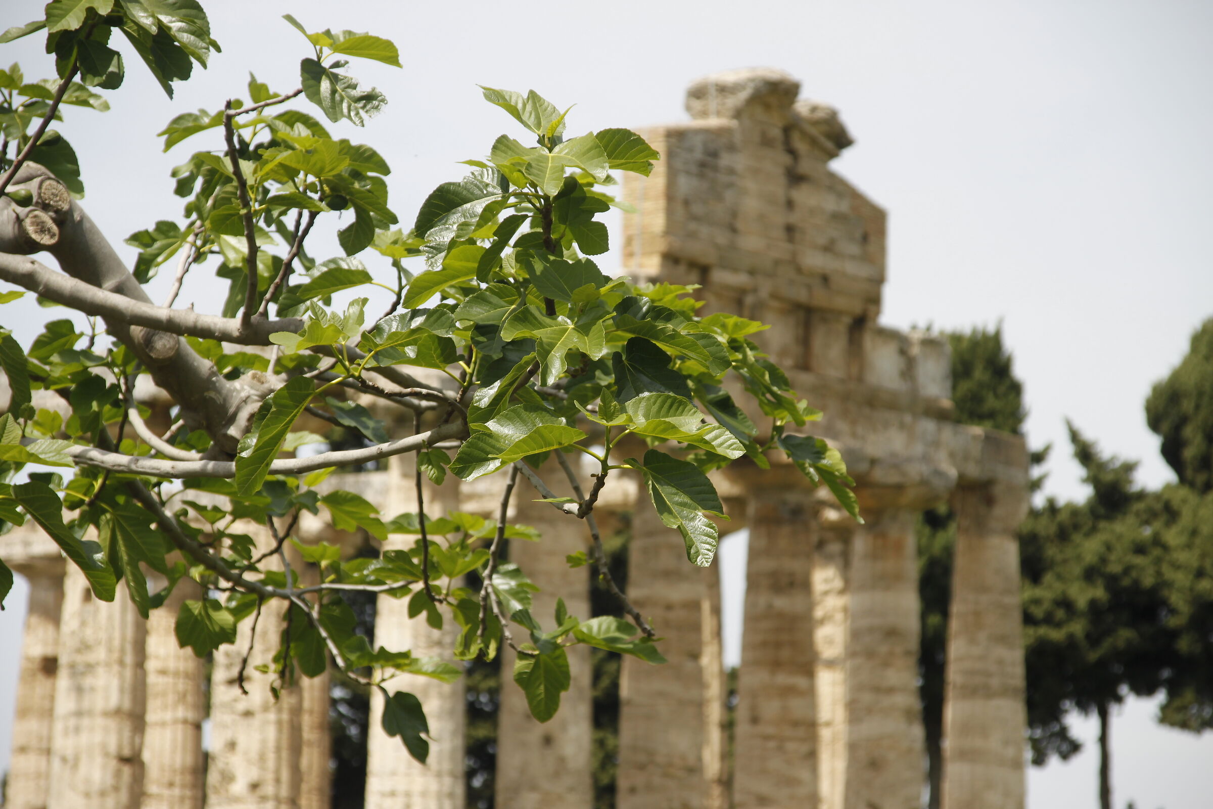 Parchi archeologici italiani
