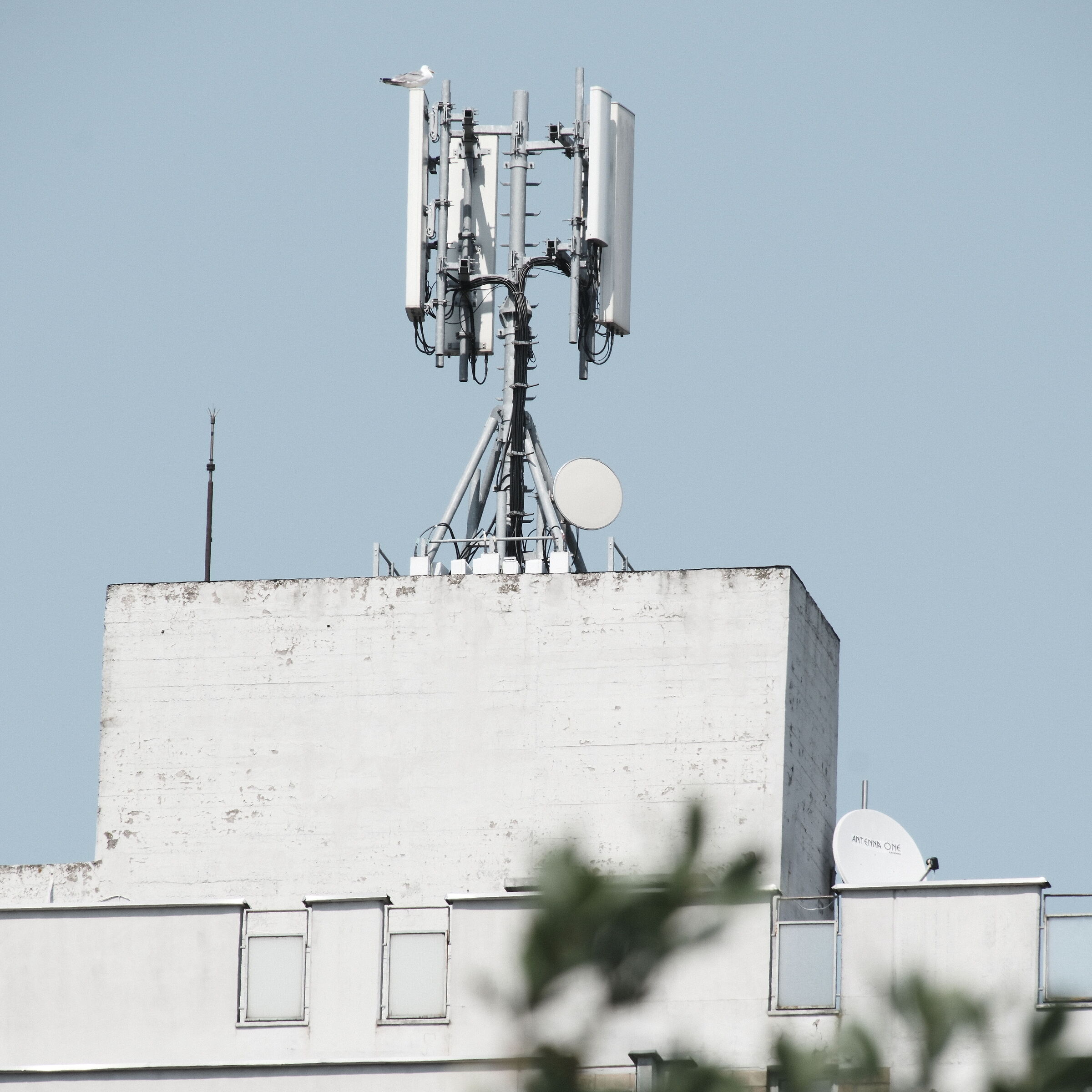 prove sigma 16 300mm