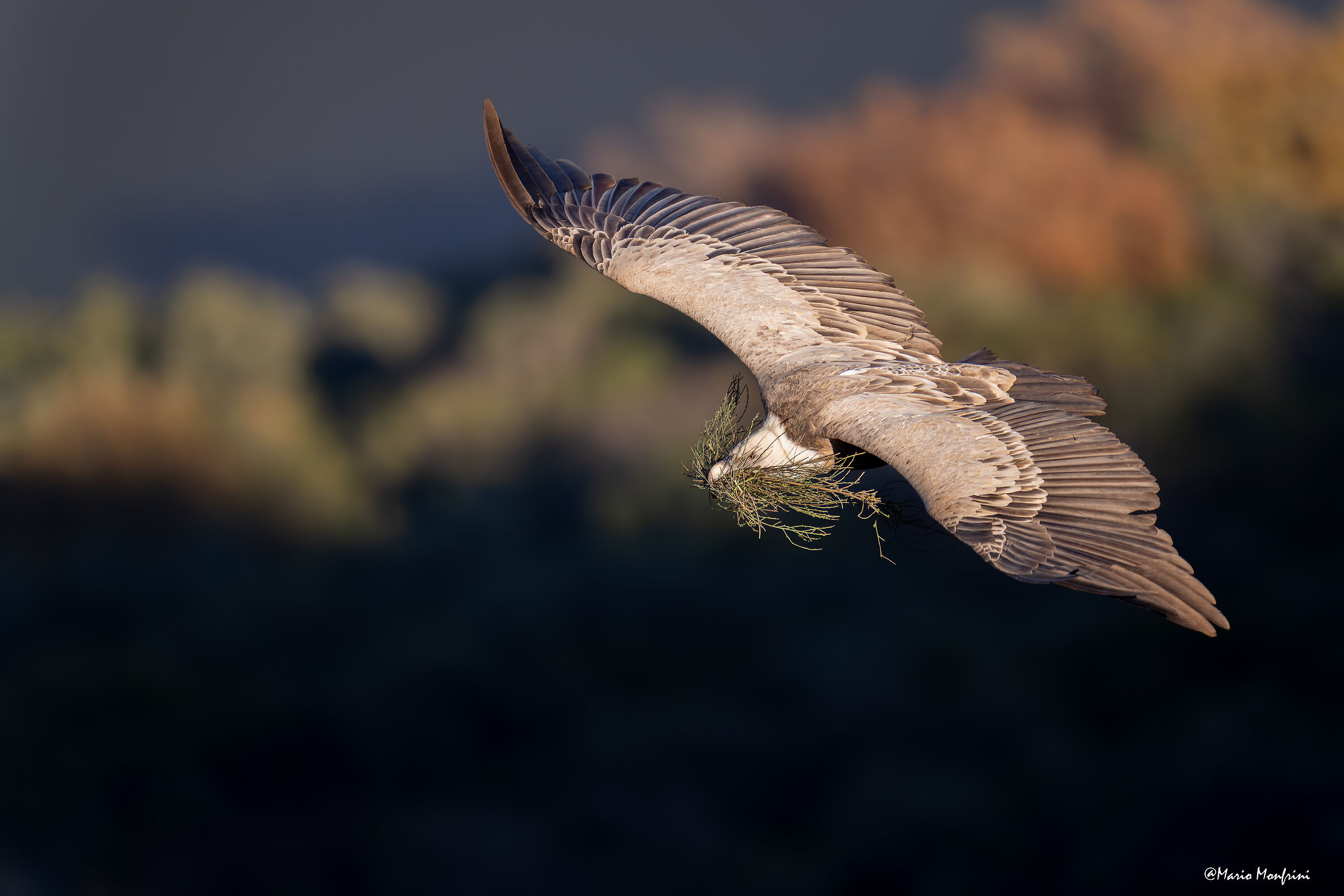 Tra luce e oscurità