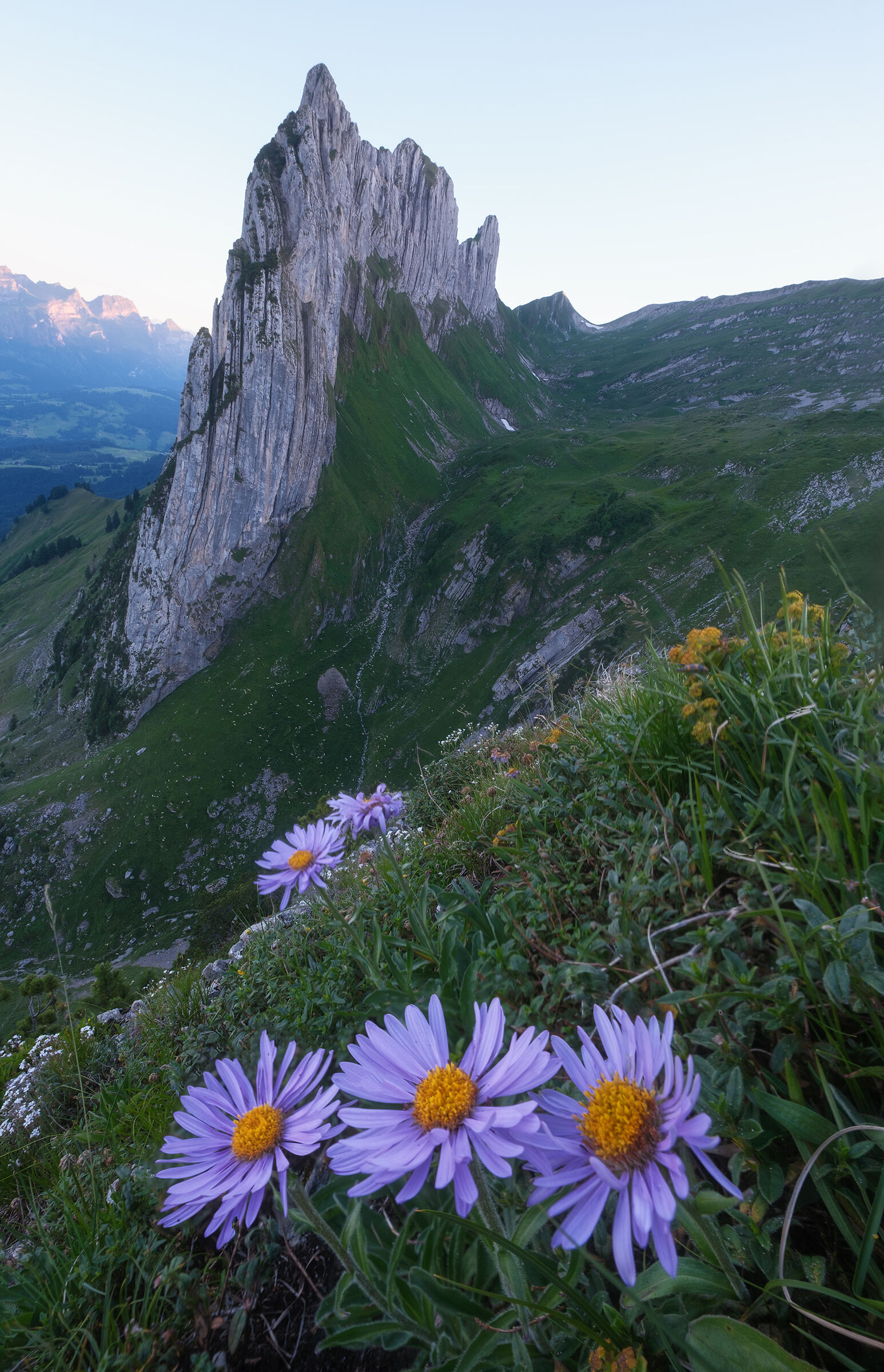 Prima che faccia buio