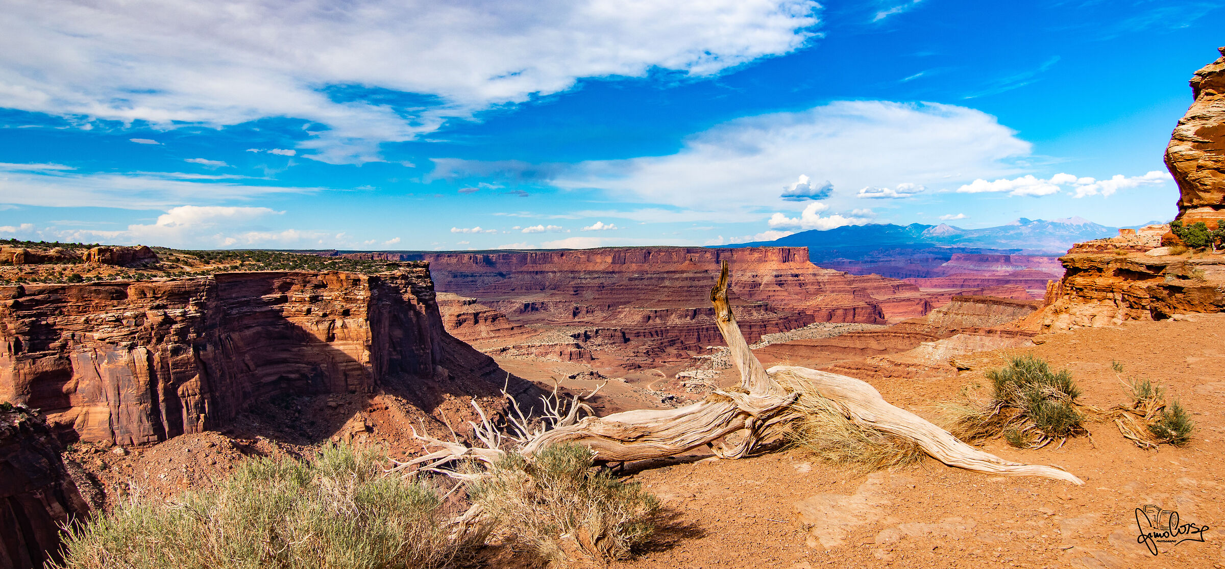 Boundless Canyonlands