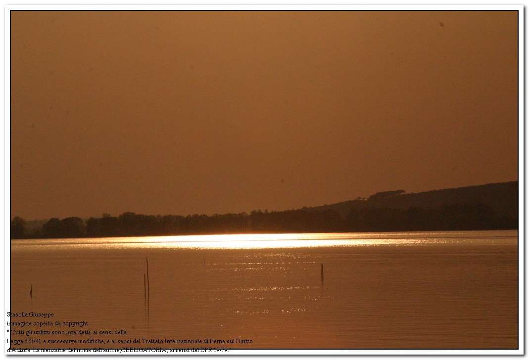 Only light and water