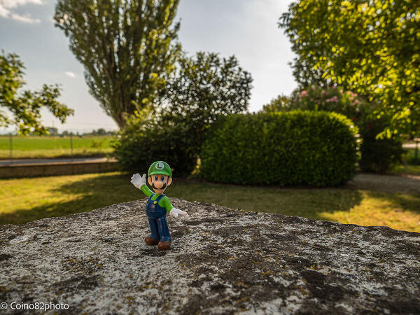 Foto