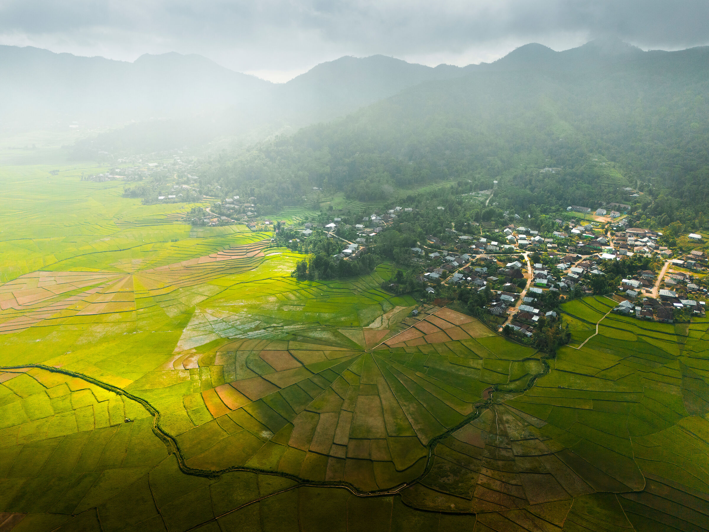 lingko spider web rice fields
