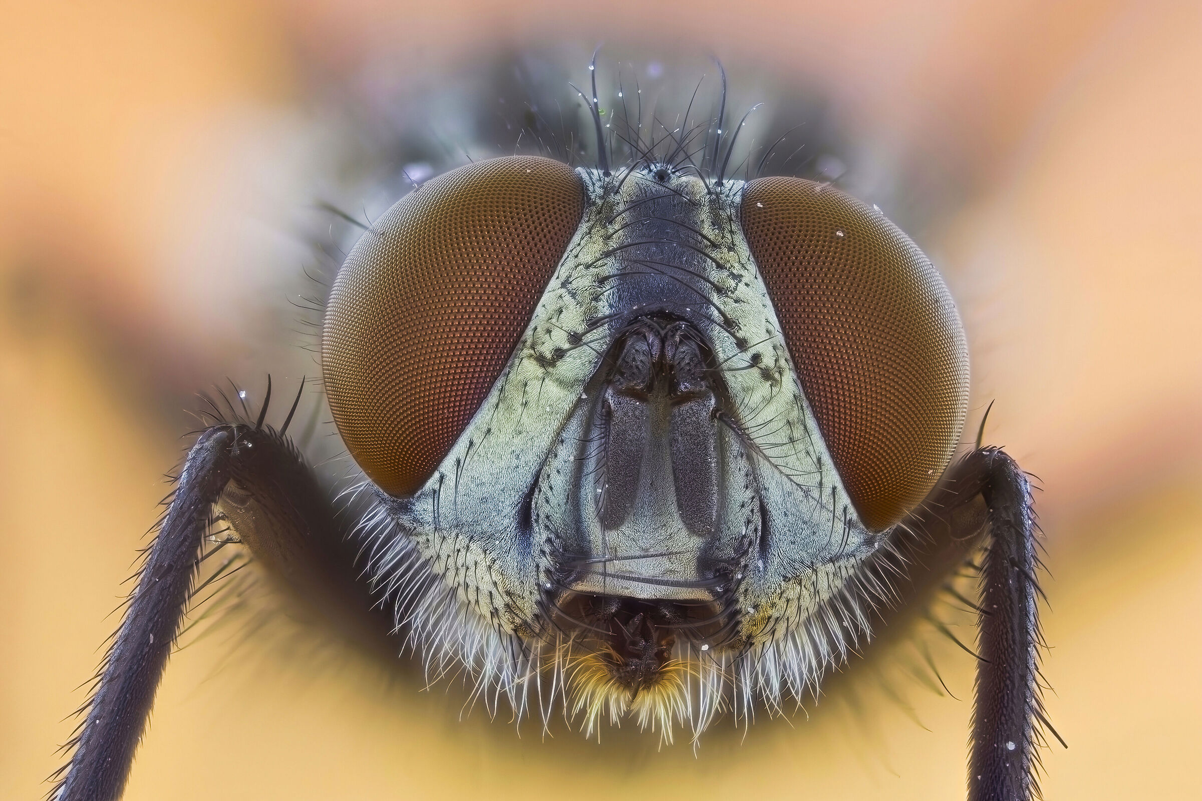 But you say to me? Hey, who are you talking to?