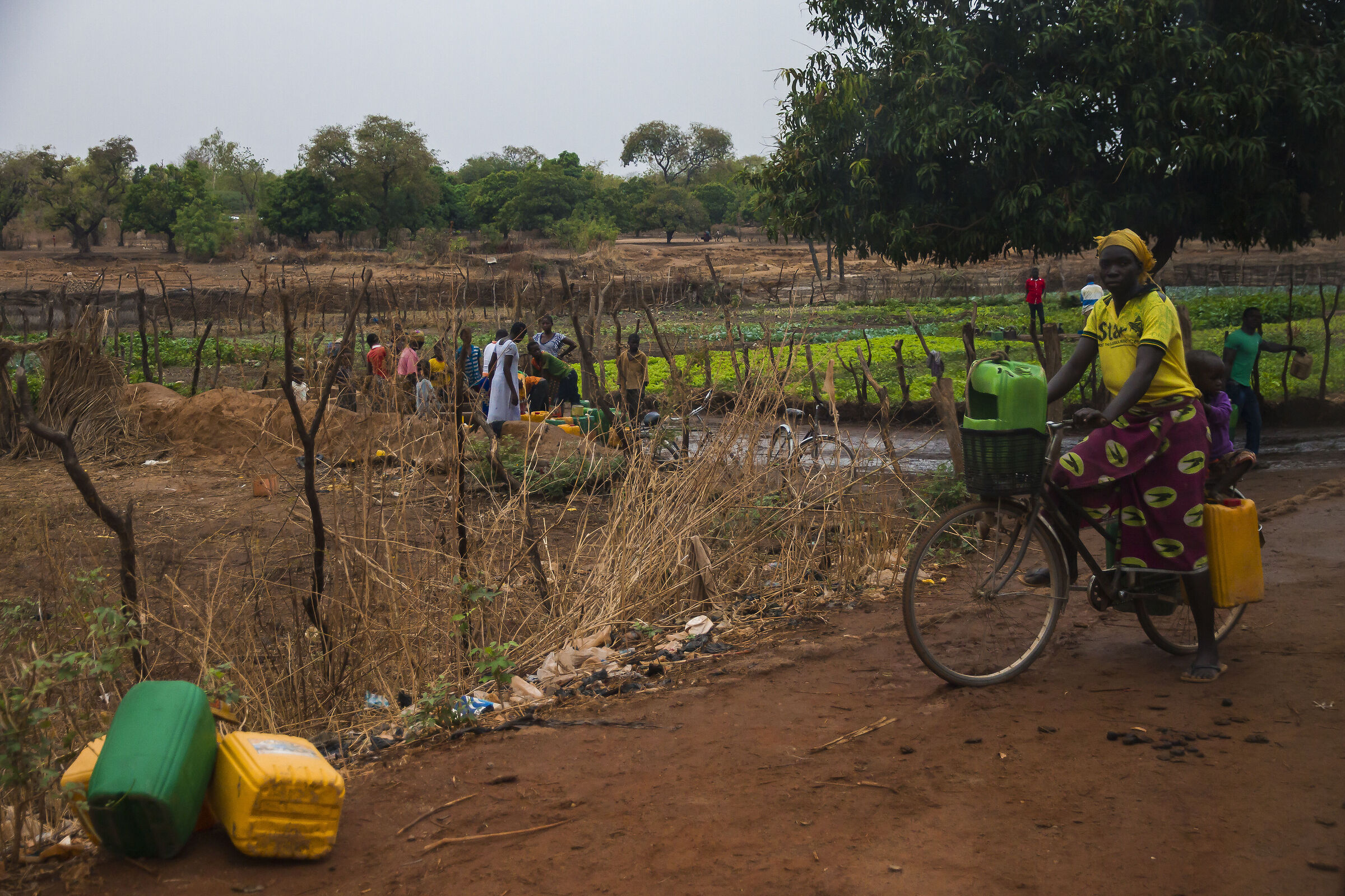 Il lavoro quotidiano 1