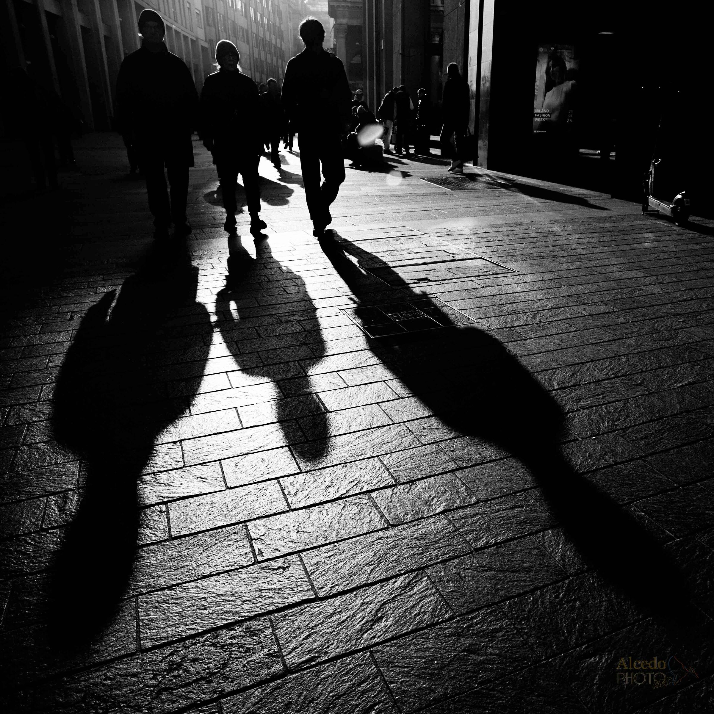 Long shadows