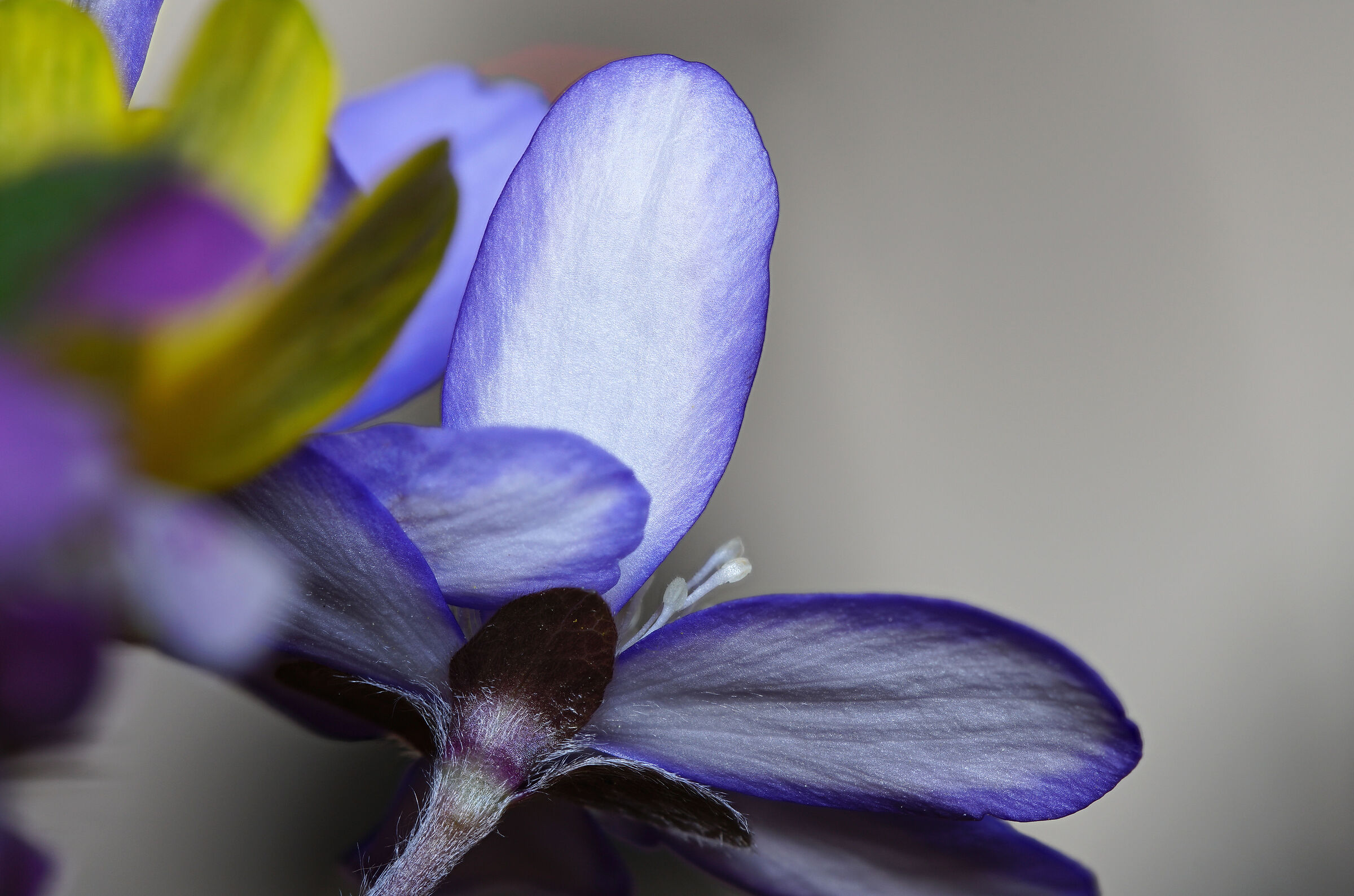 Segnali di primavera