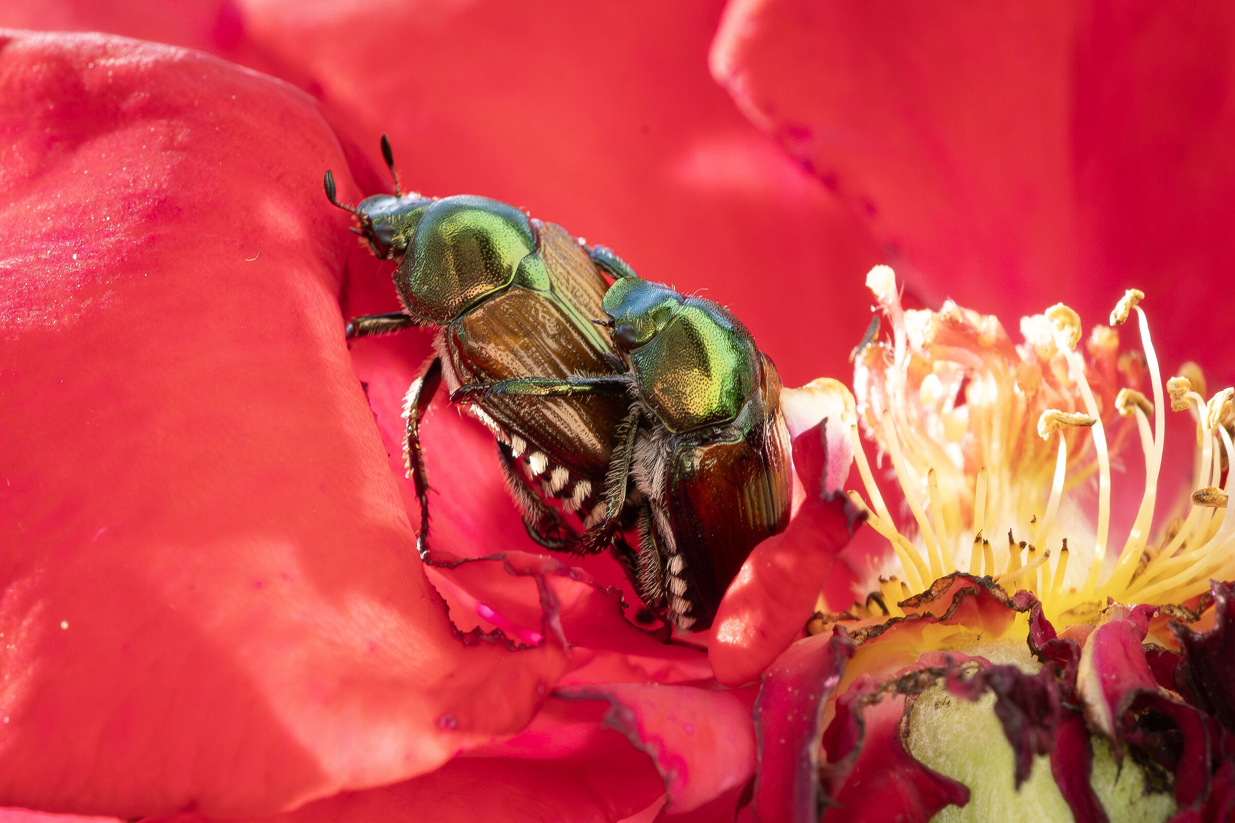 Non insistere... ! me ne vado.. !