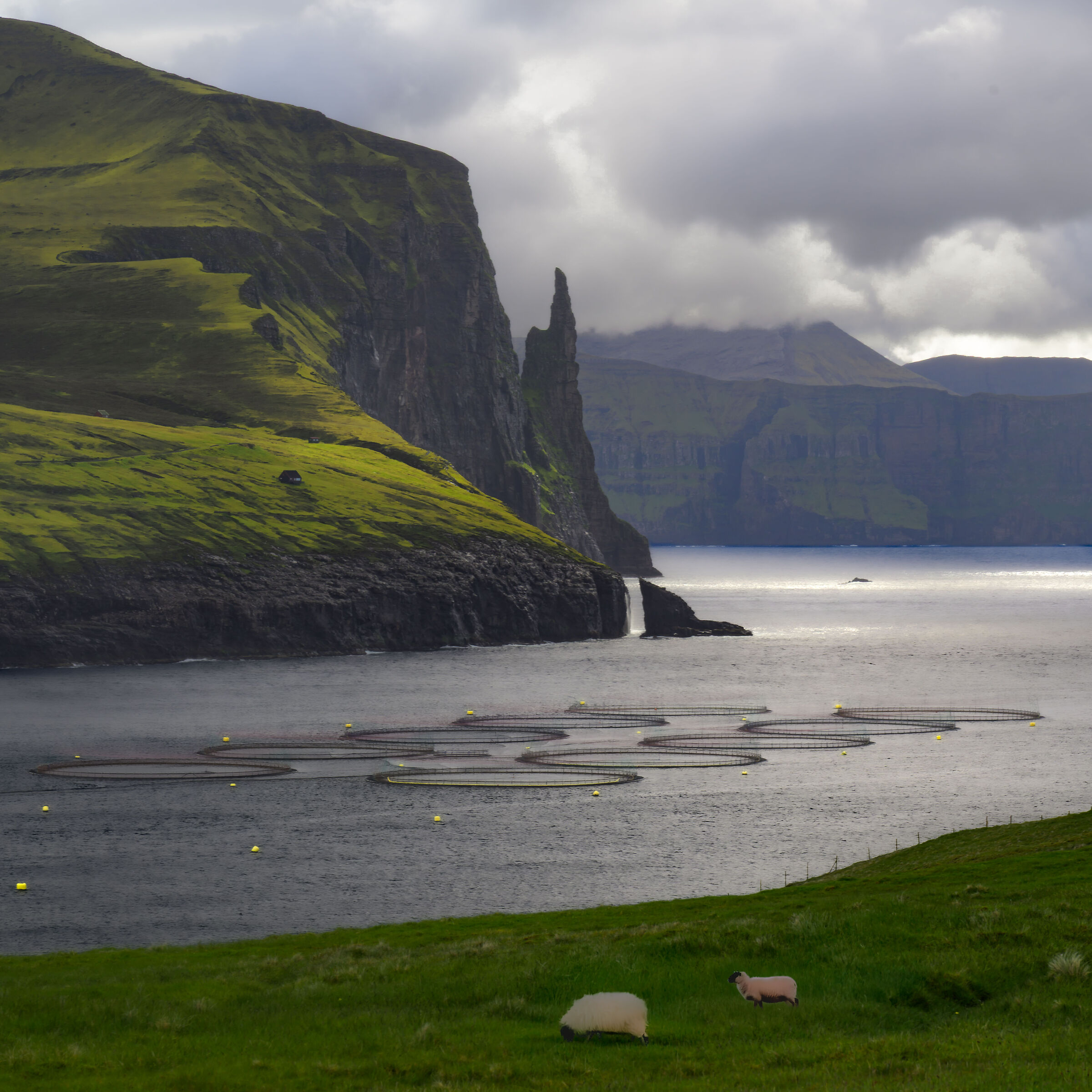 Witches Finger from far away
