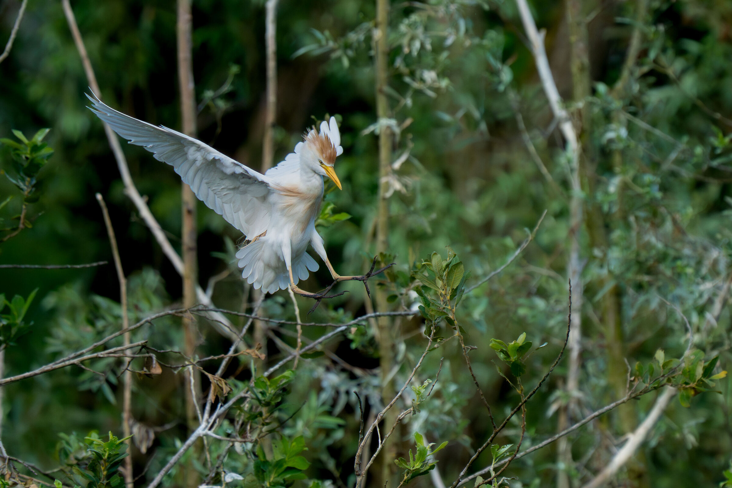 Landing