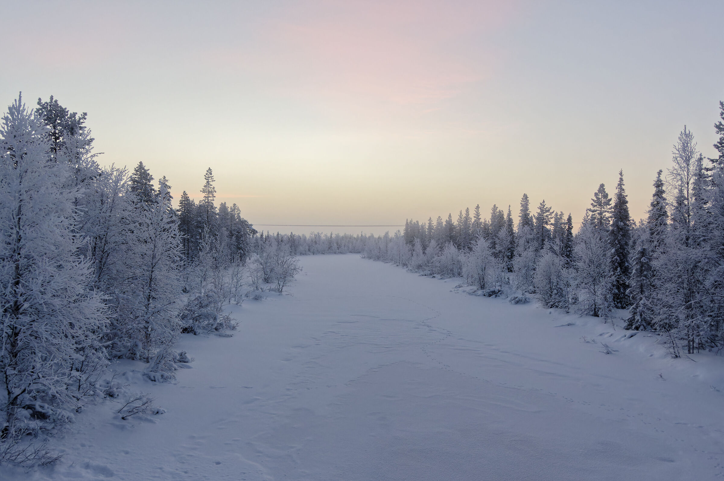 Untitled Photo