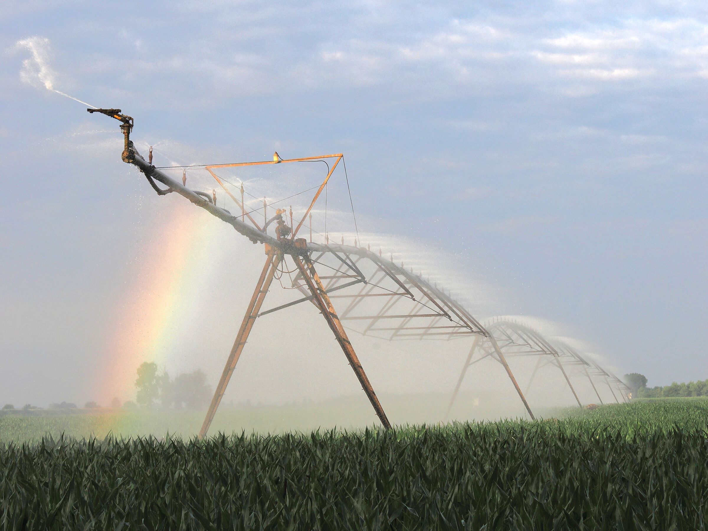 l'irrigatore per il granoturco e il suo arcobaleno