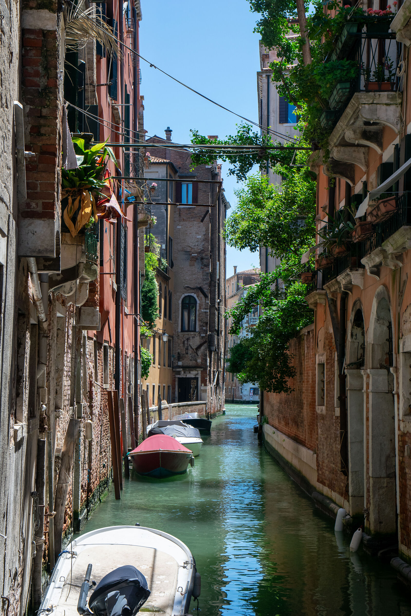 Venezia