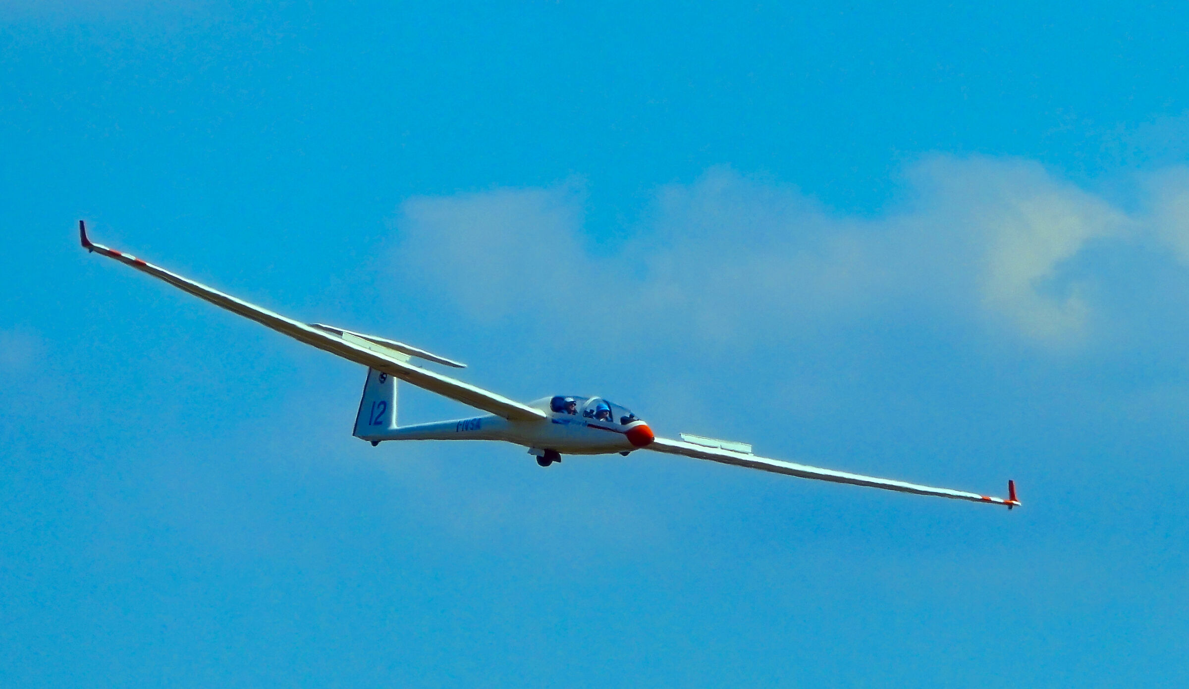 Gliding gently on light wings