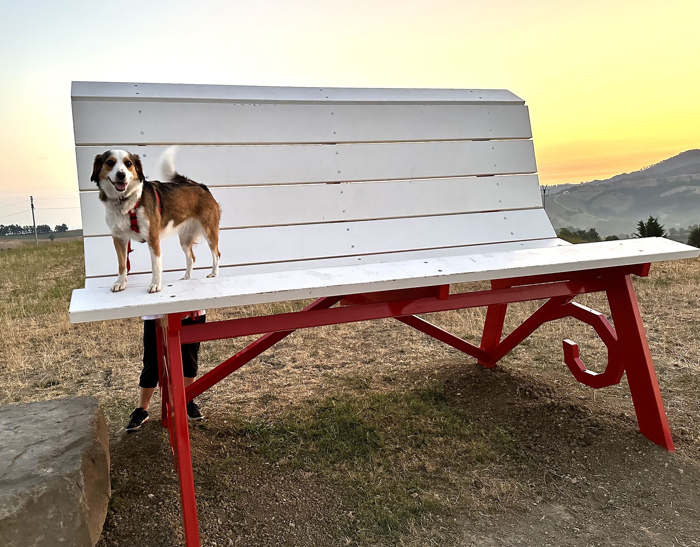 Lilly on the giant bench loc. Trinità (RE)