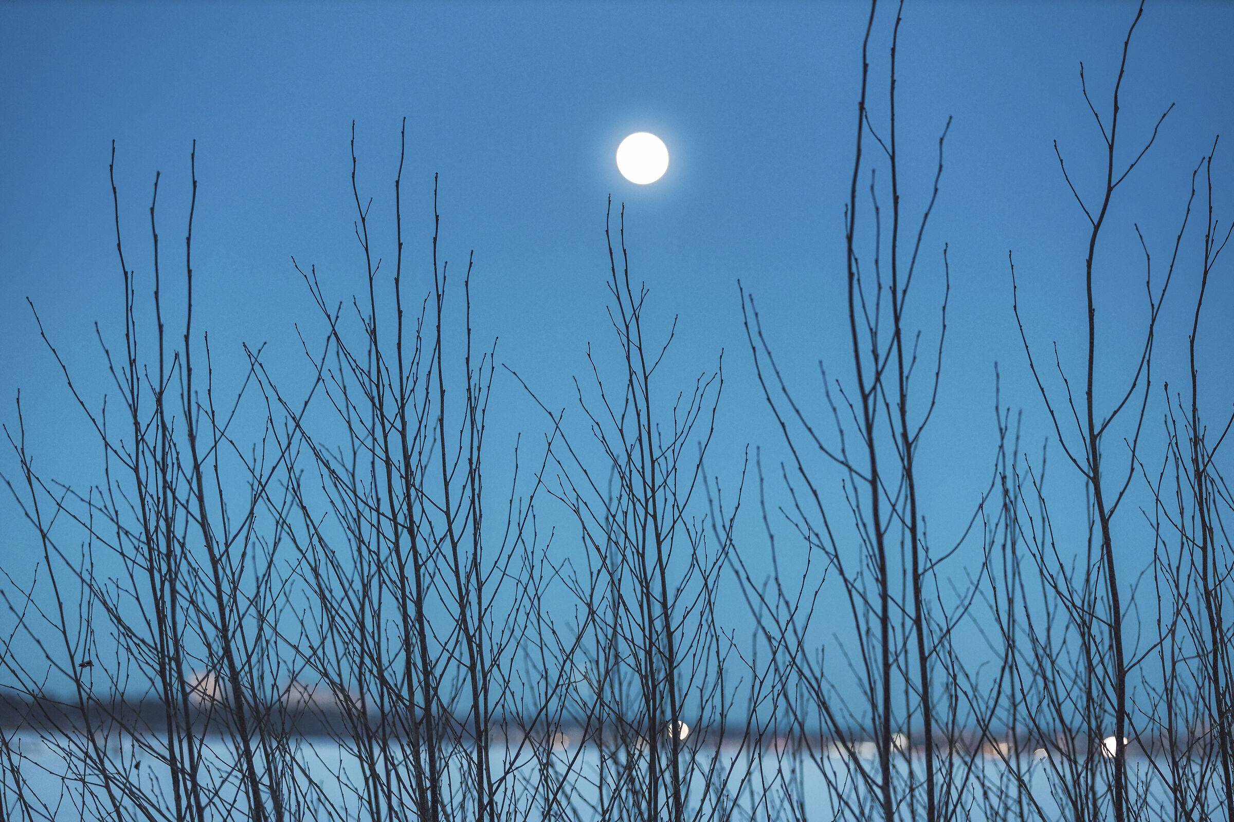 Frozen lake 3