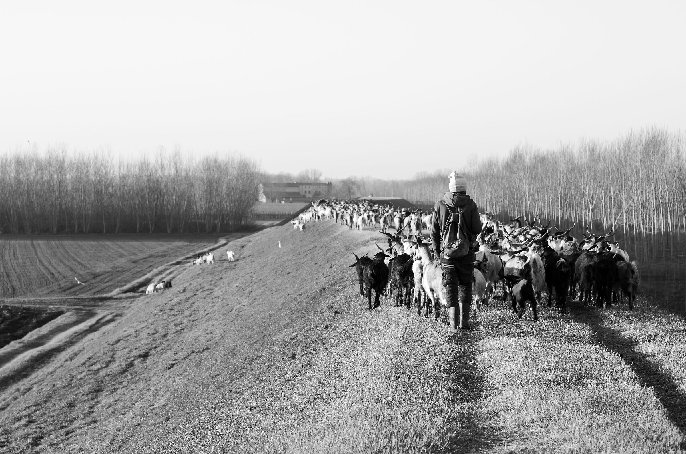 An unexpected encounter