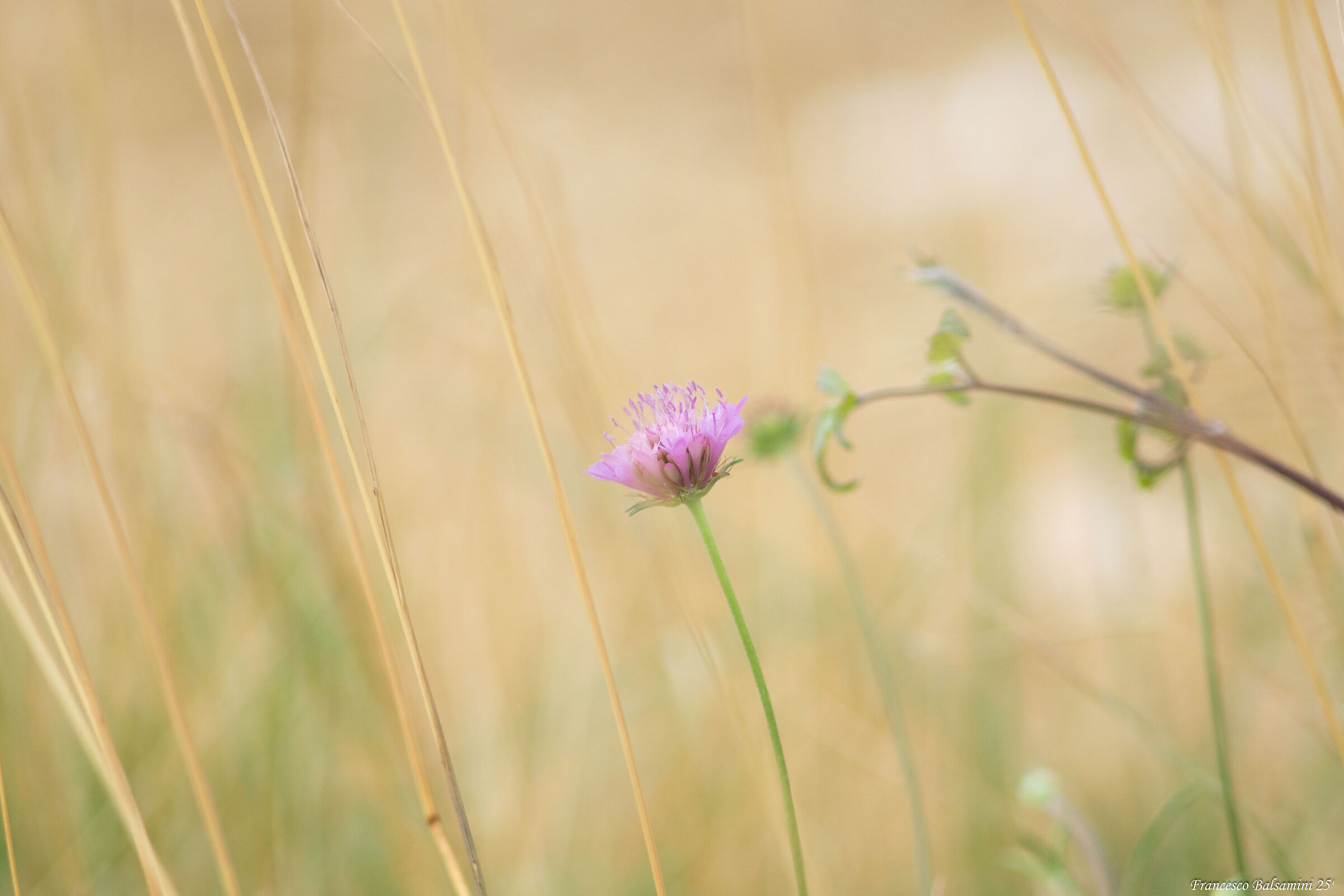 Untitled Photo