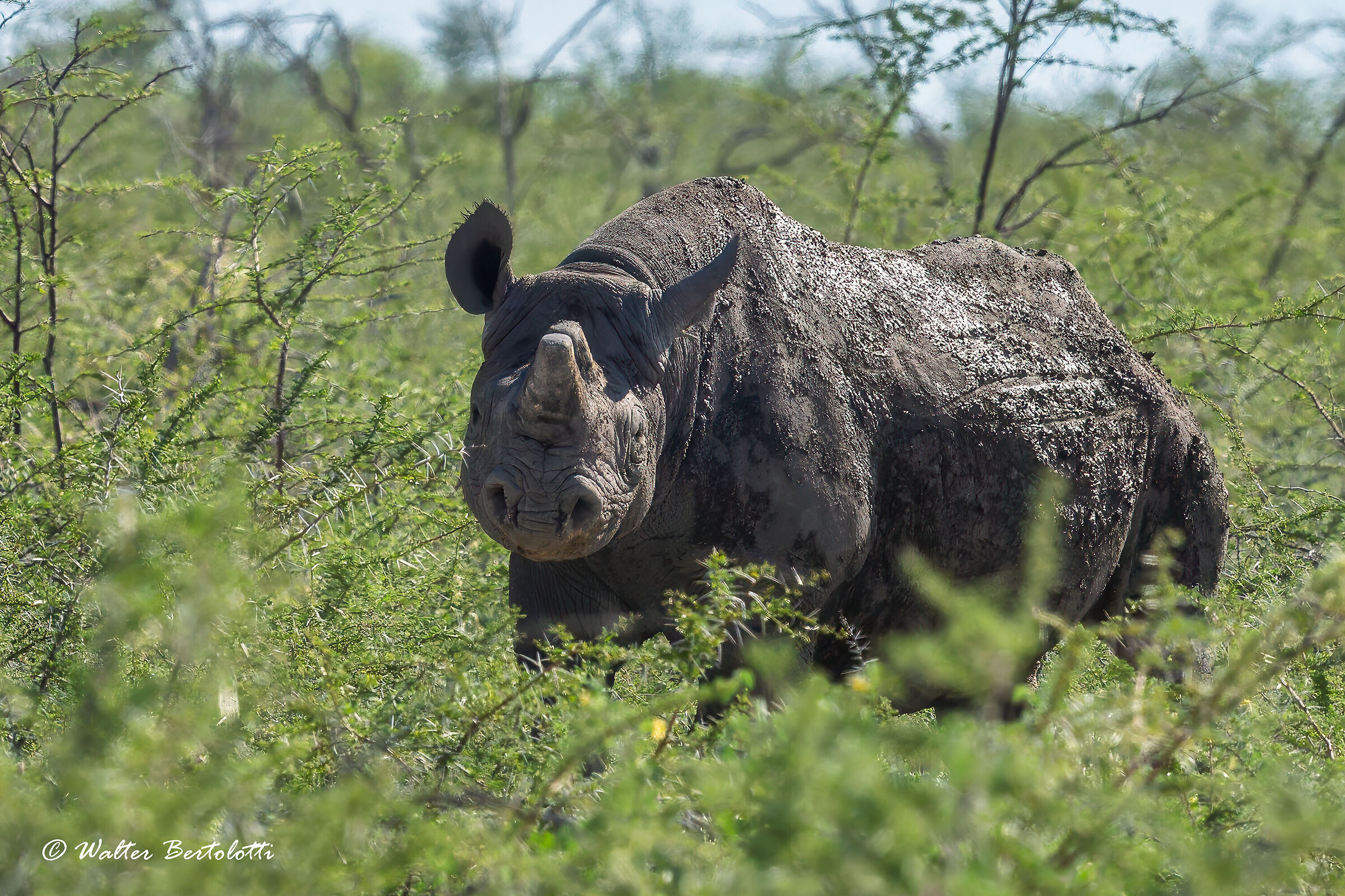 un incontro inaspettato